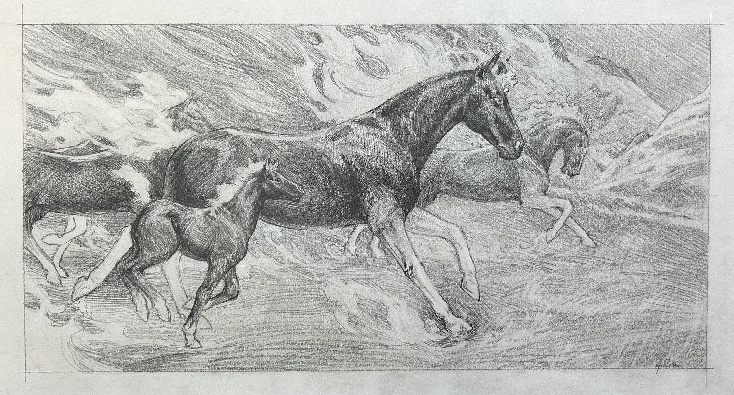 Wildifire-Prelim-drawing-Alannah Rose.jpg