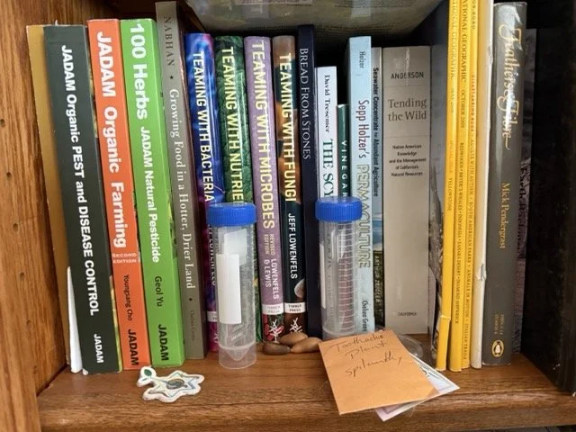 Rion’s Book Recommendations