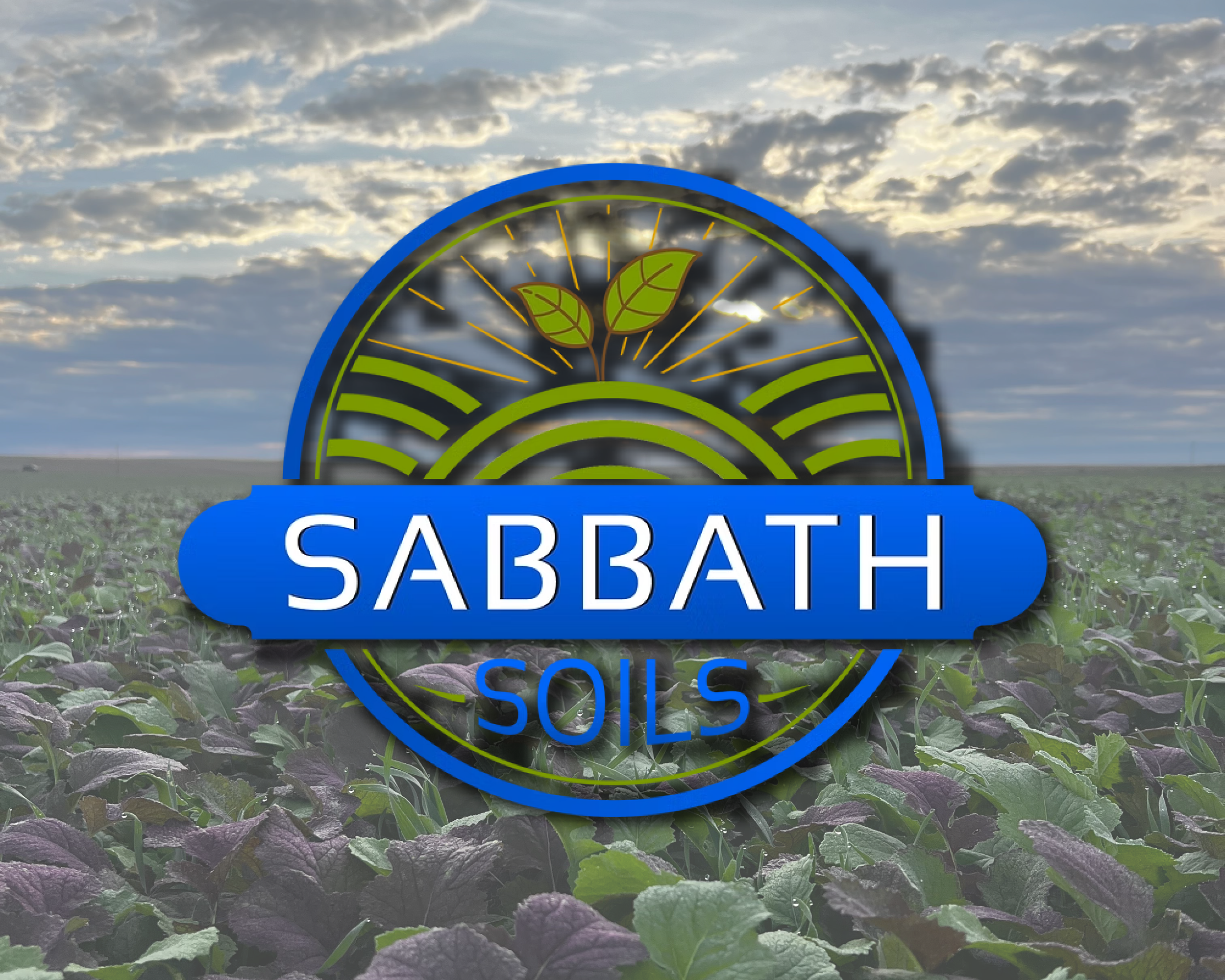A logo for Sabbath Soils with a plant and sun rays design over a field of green and purple crops under a cloudy sky.
