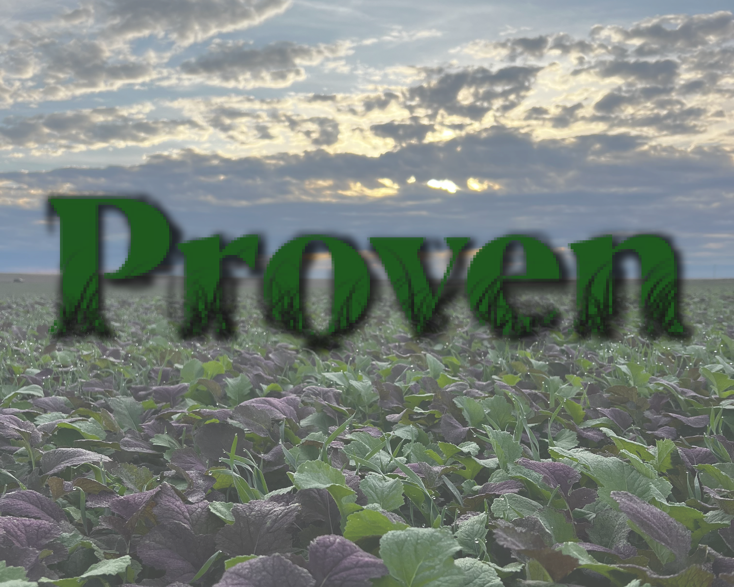 Green text reading 'Proven' over a field of leafy plants with a cloudy sky and sunlight in the background.