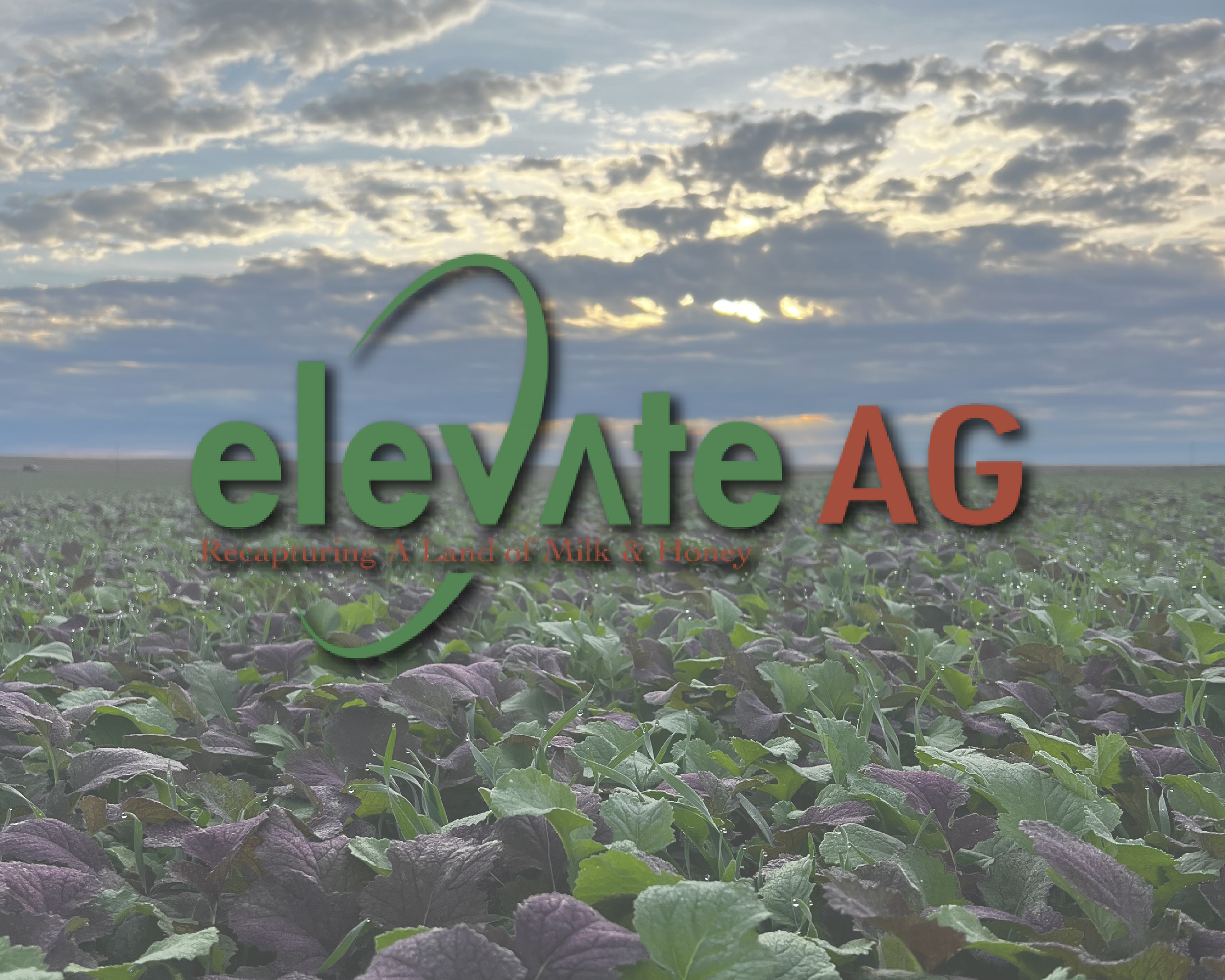 Logo for elevateAG with the tagline 'Recapturing A Land of Milk & Honey' over a farm field with green leaves and a cloudy sky.