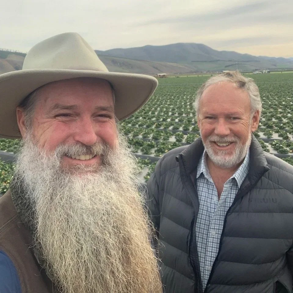 Two smiling men standing in a strawberry field with mountains in the background.