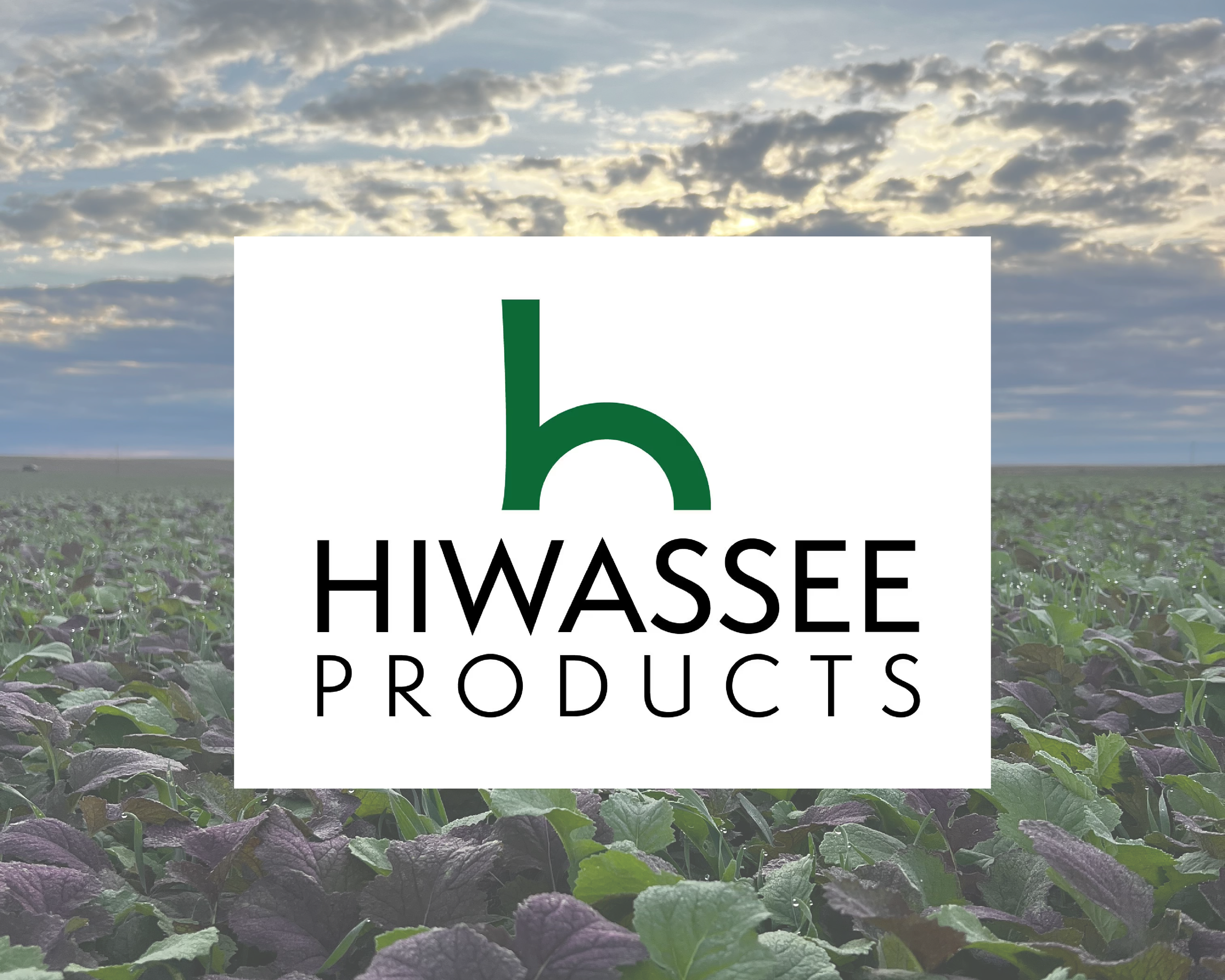 Logo of Hiwassee Products with a stylized green letter 'h' over a backdrop of a field under a partly cloudy sky