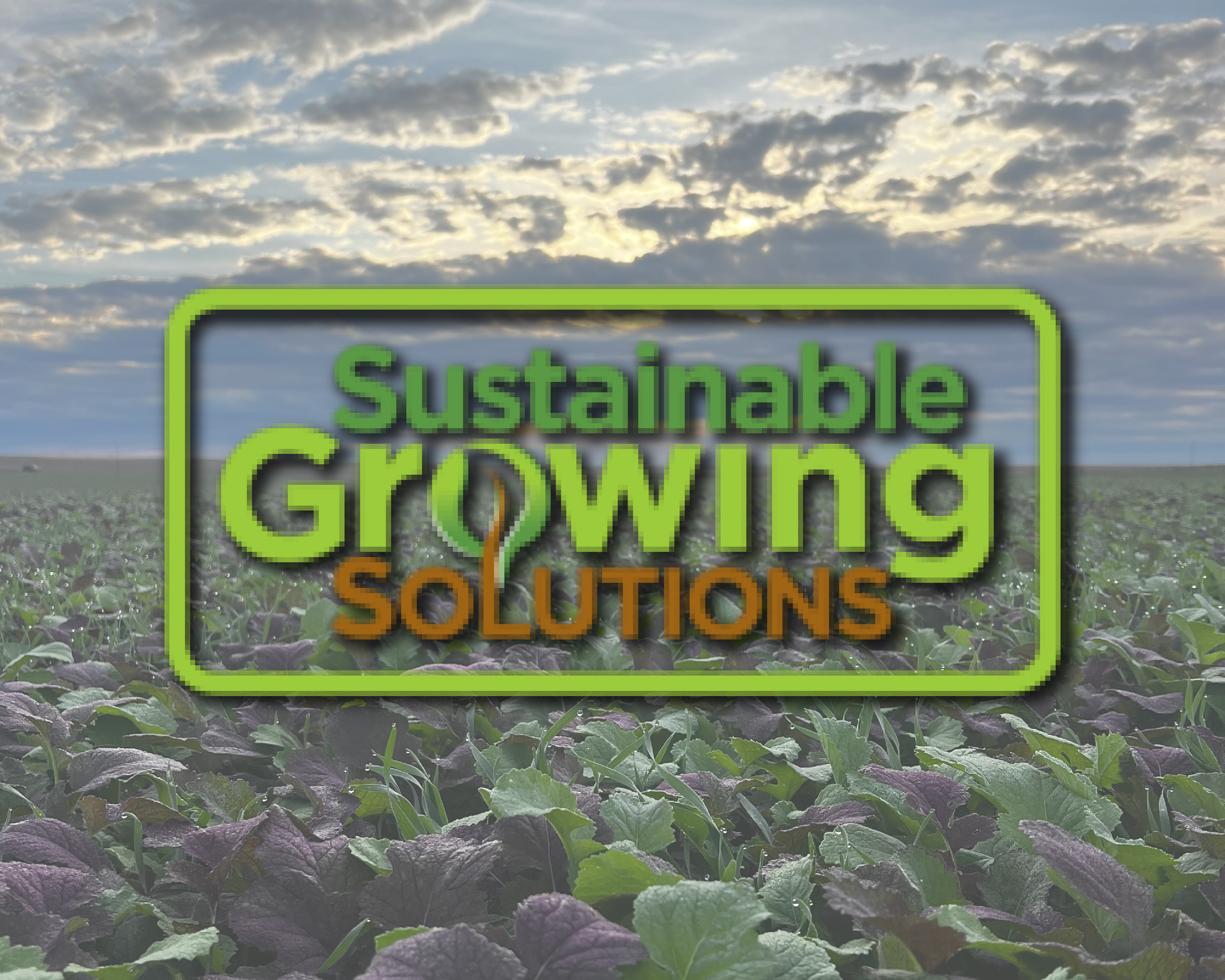 Logo with the words 'Sustainable Growing Solutions' over a field of green crops under a partly cloudy sky.
