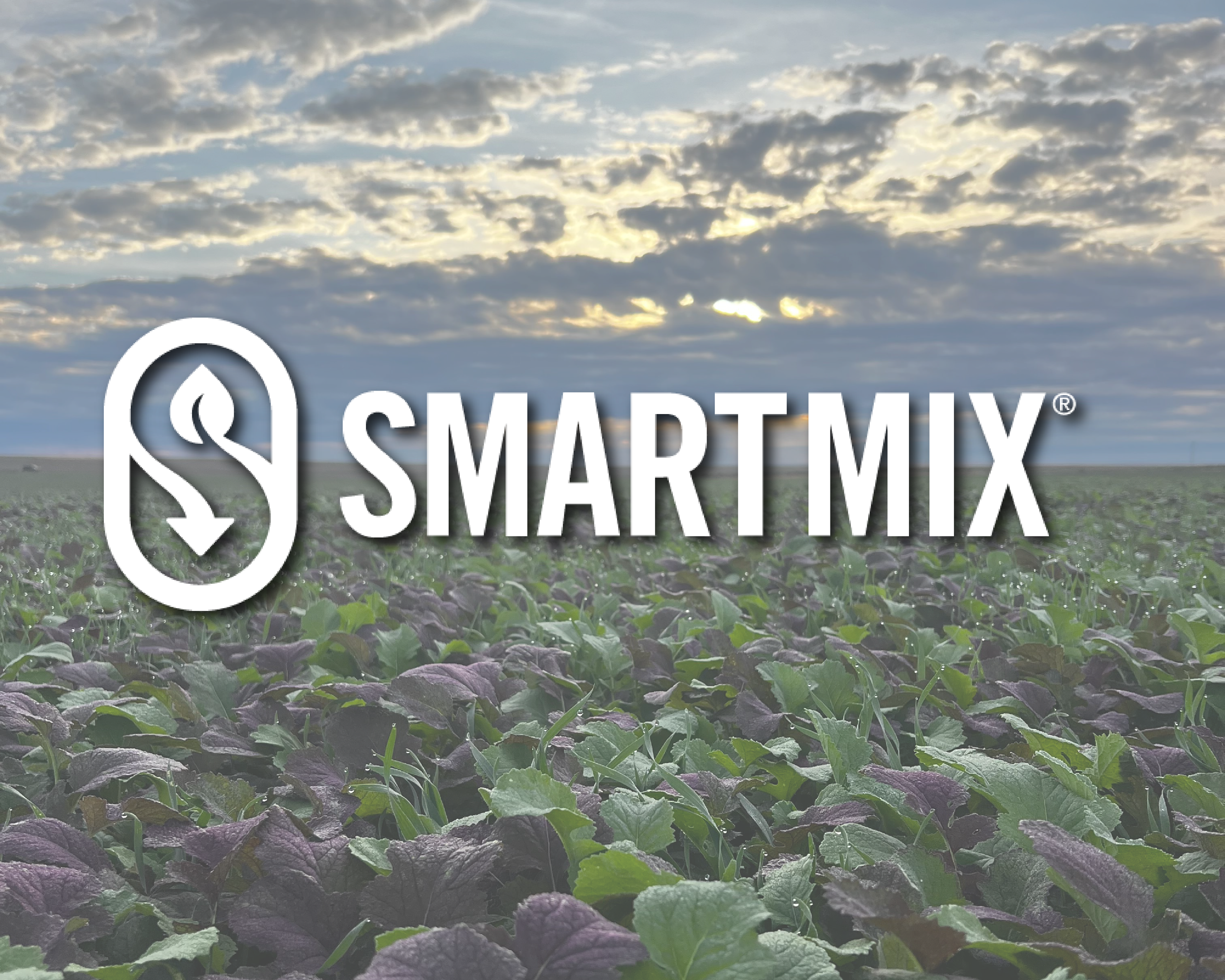 A field of leafy green and purple plants under a partly cloudy sky with the logo and text for SMARTMIX