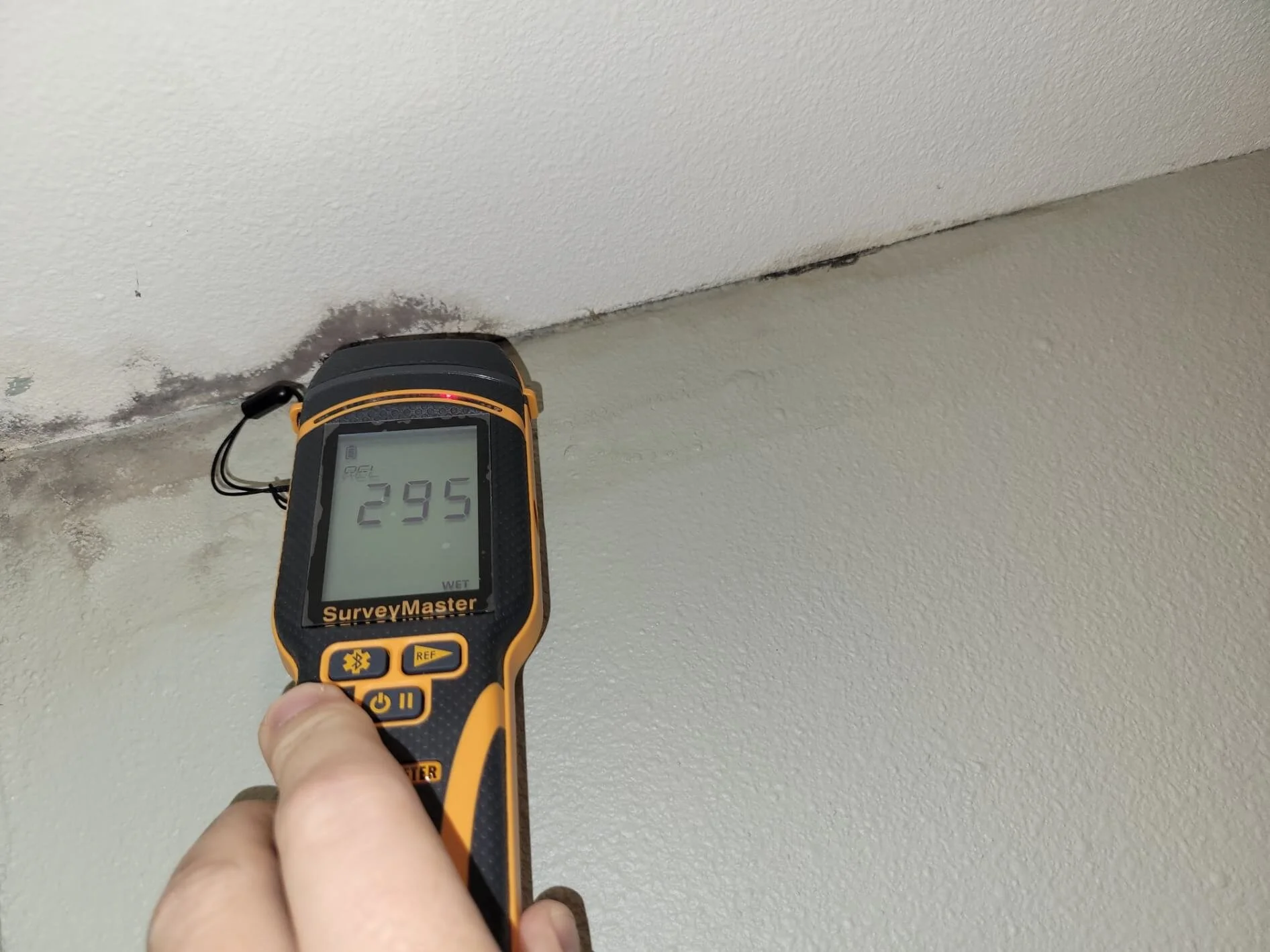 Moisture Reading - Closet