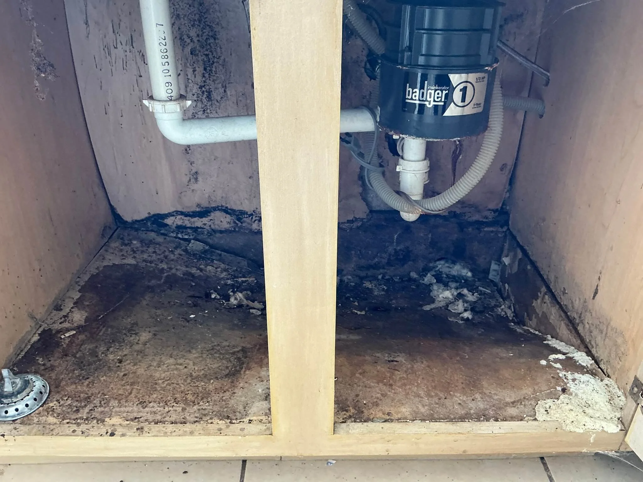 mold under kitchen sink