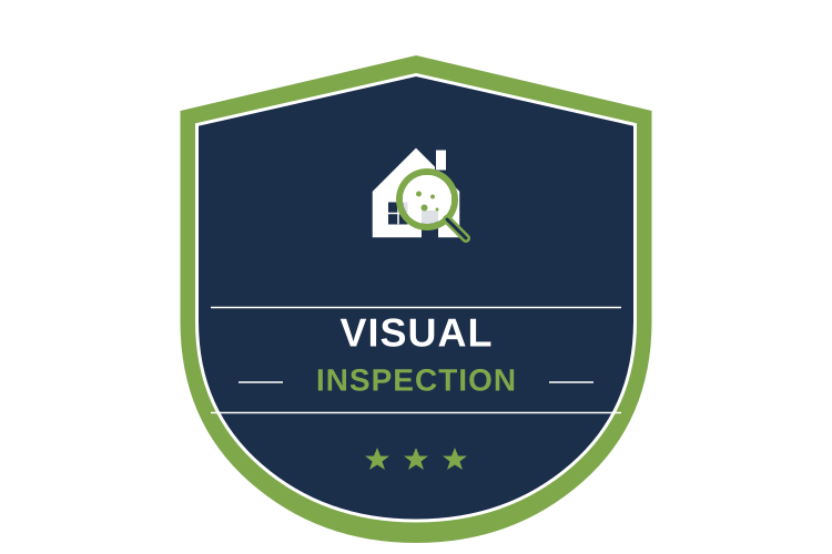 Visual Mold Inspection