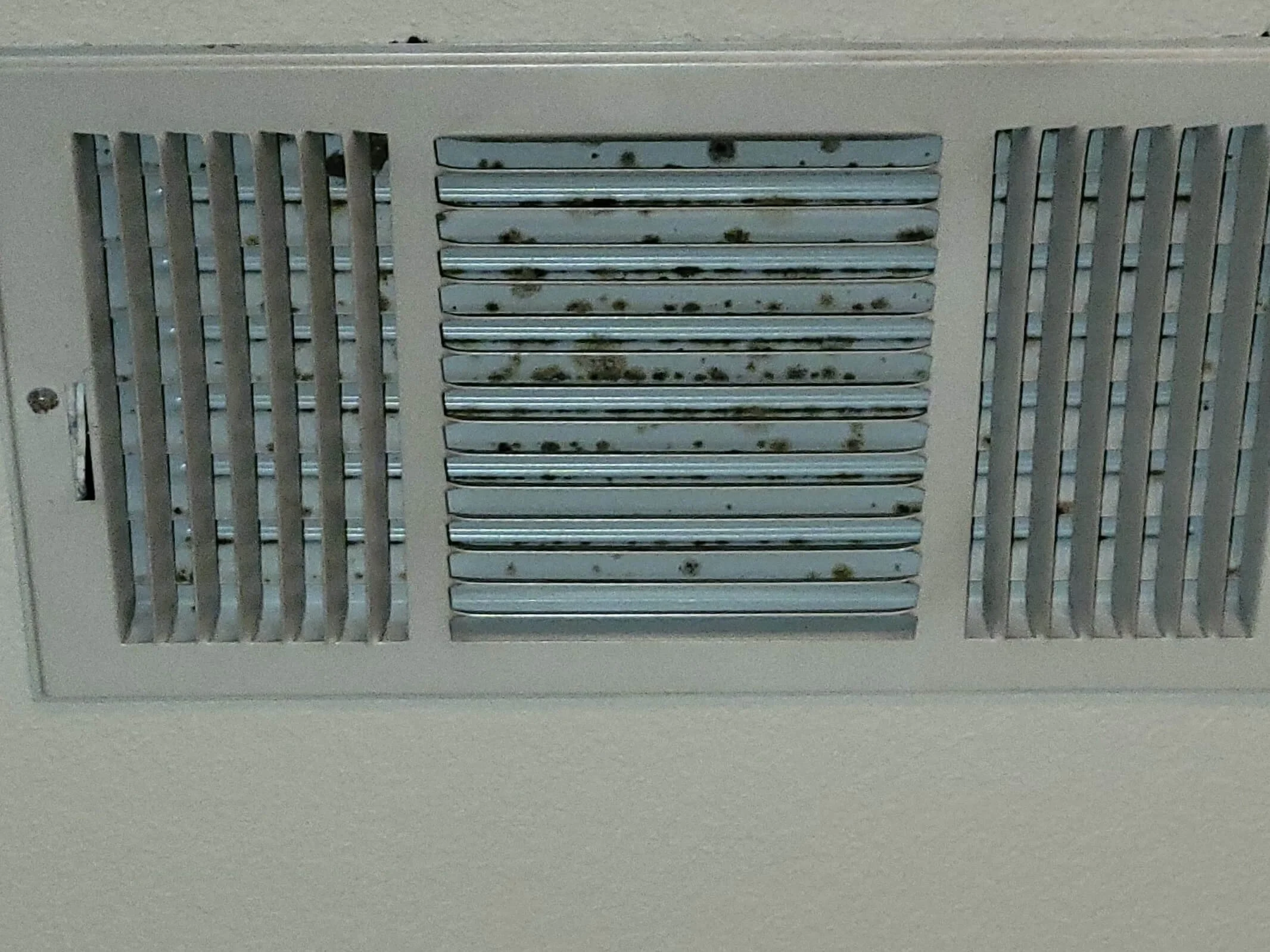 Air Vent with mold growing on top of it