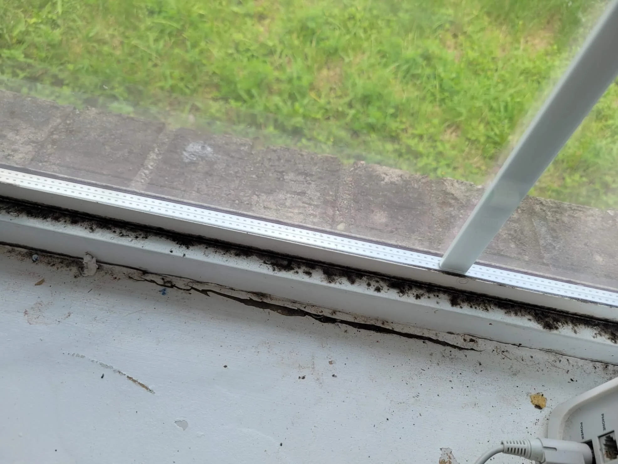 Mold Testing and Inspection Bedford