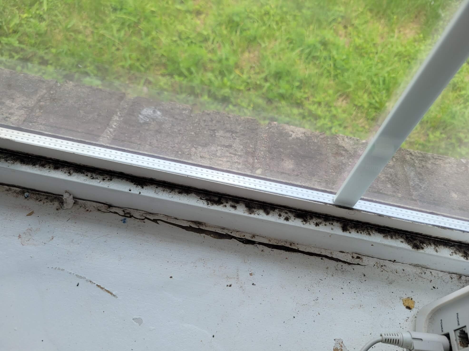 black mold in a window frame