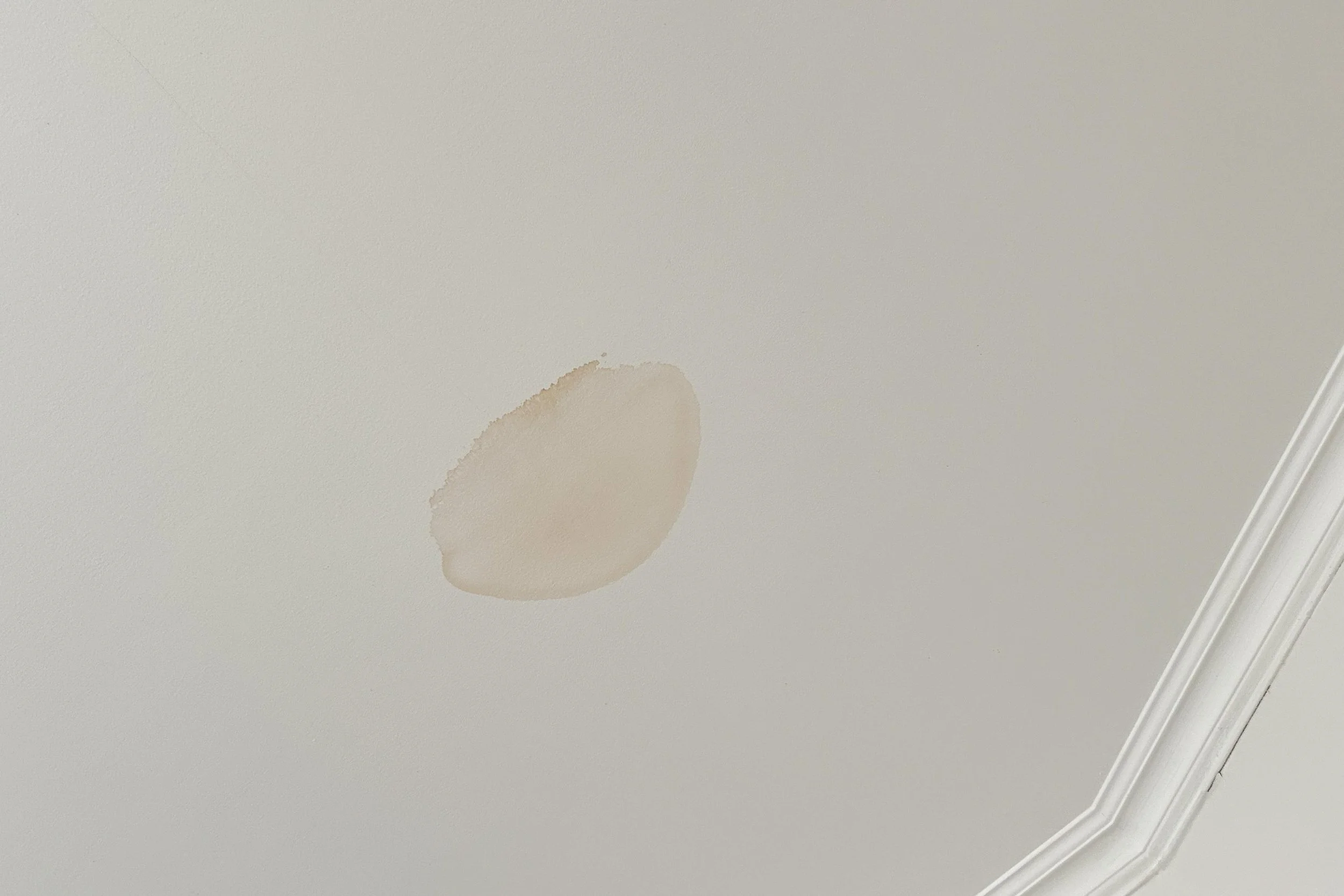 A ceiling with a water stain or discoloration near the corner.