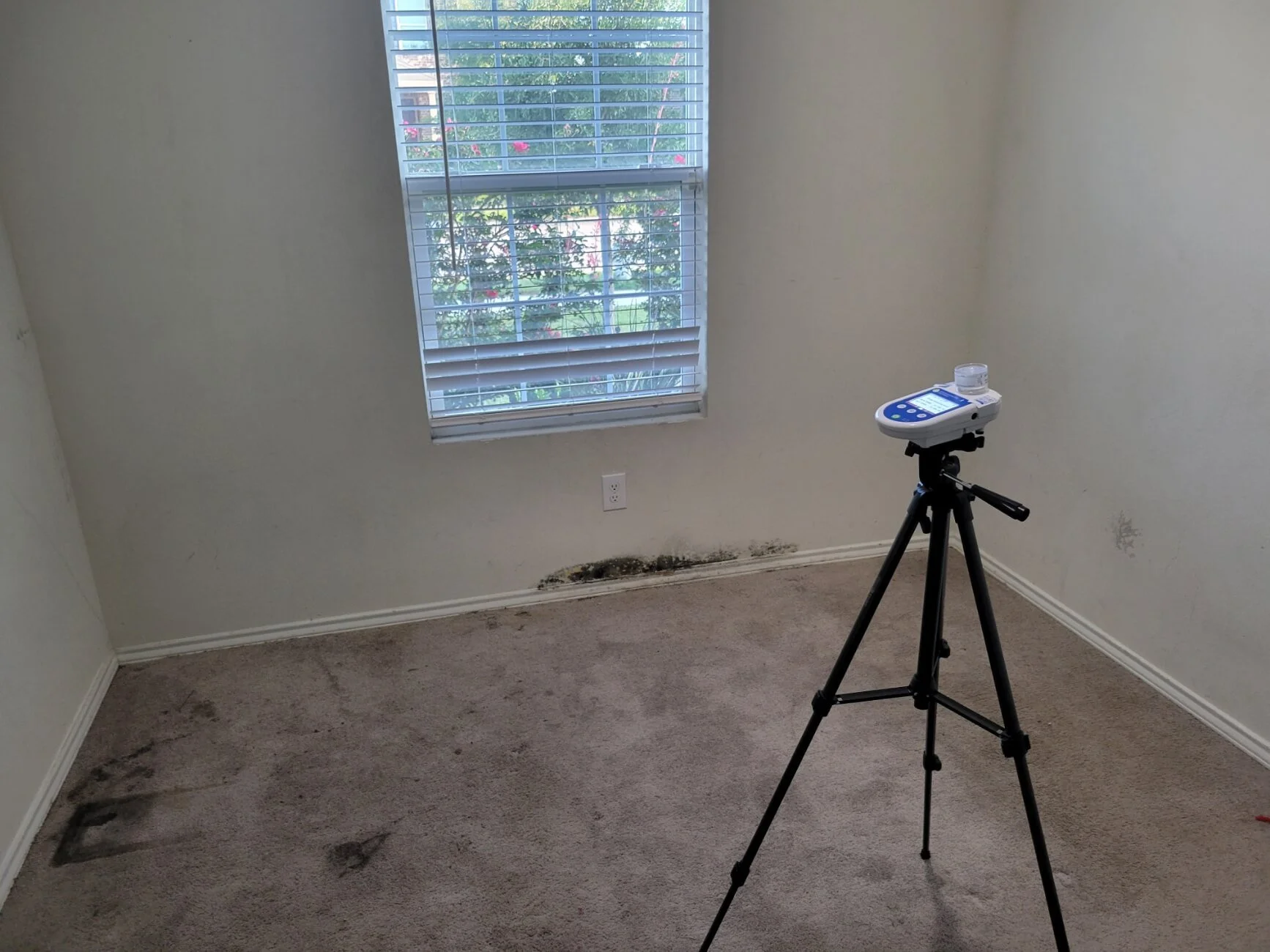 Mold Testing and Inspection Euless