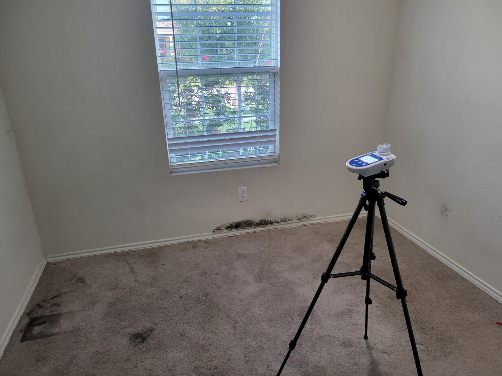 mold testing arlington TX