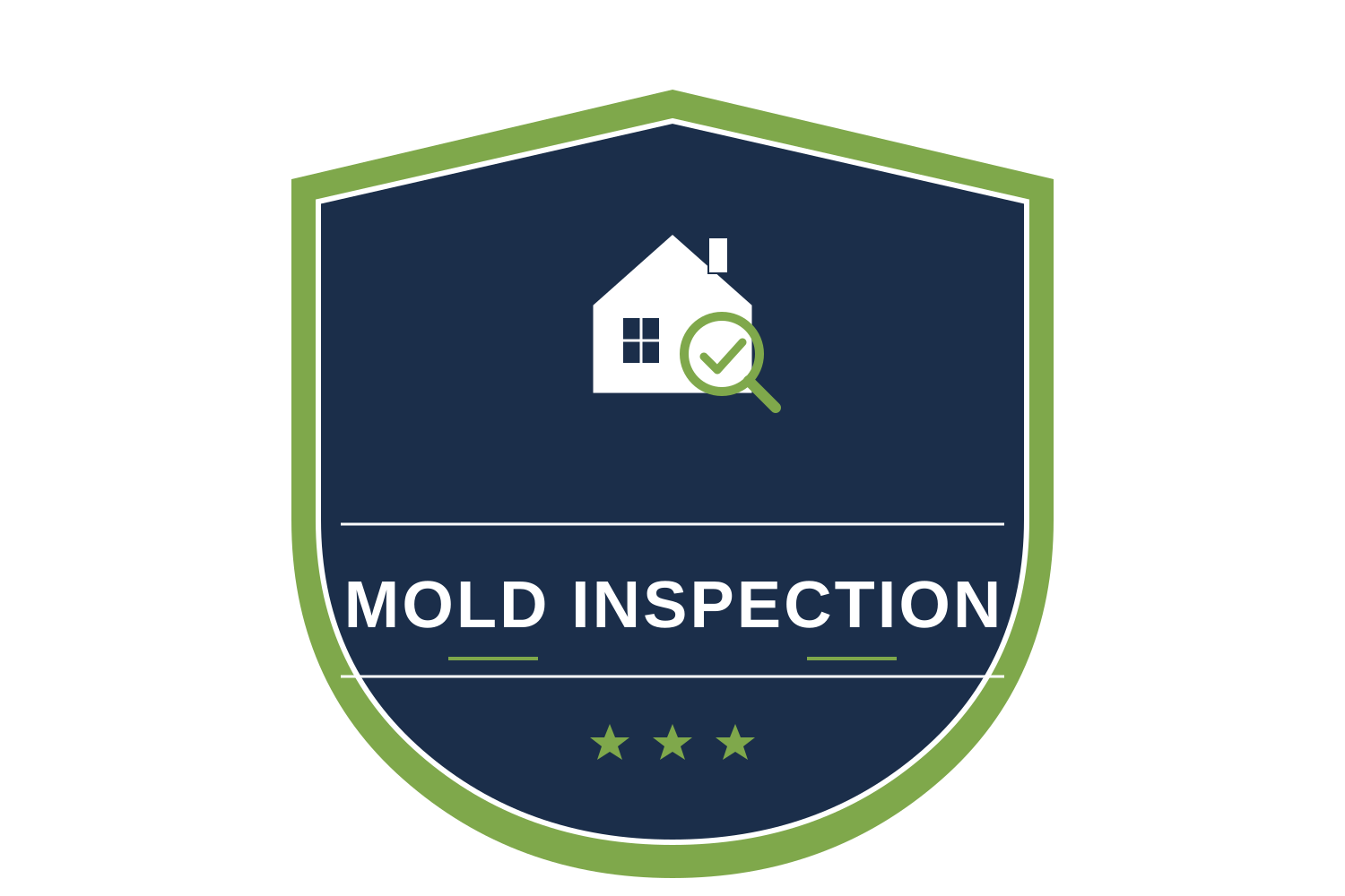 Mold Inspection
