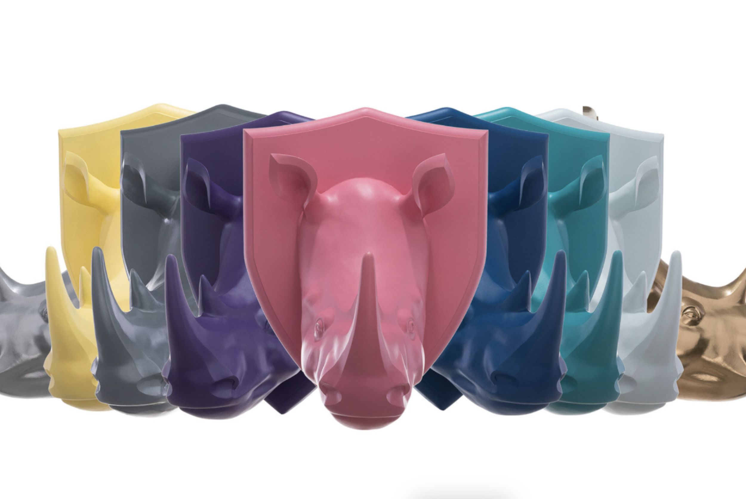 Liven — Fotografisanje Prozivoda