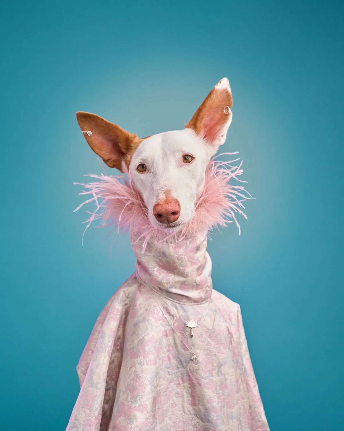 Fotografska Kampanja Koishi-8.jpg