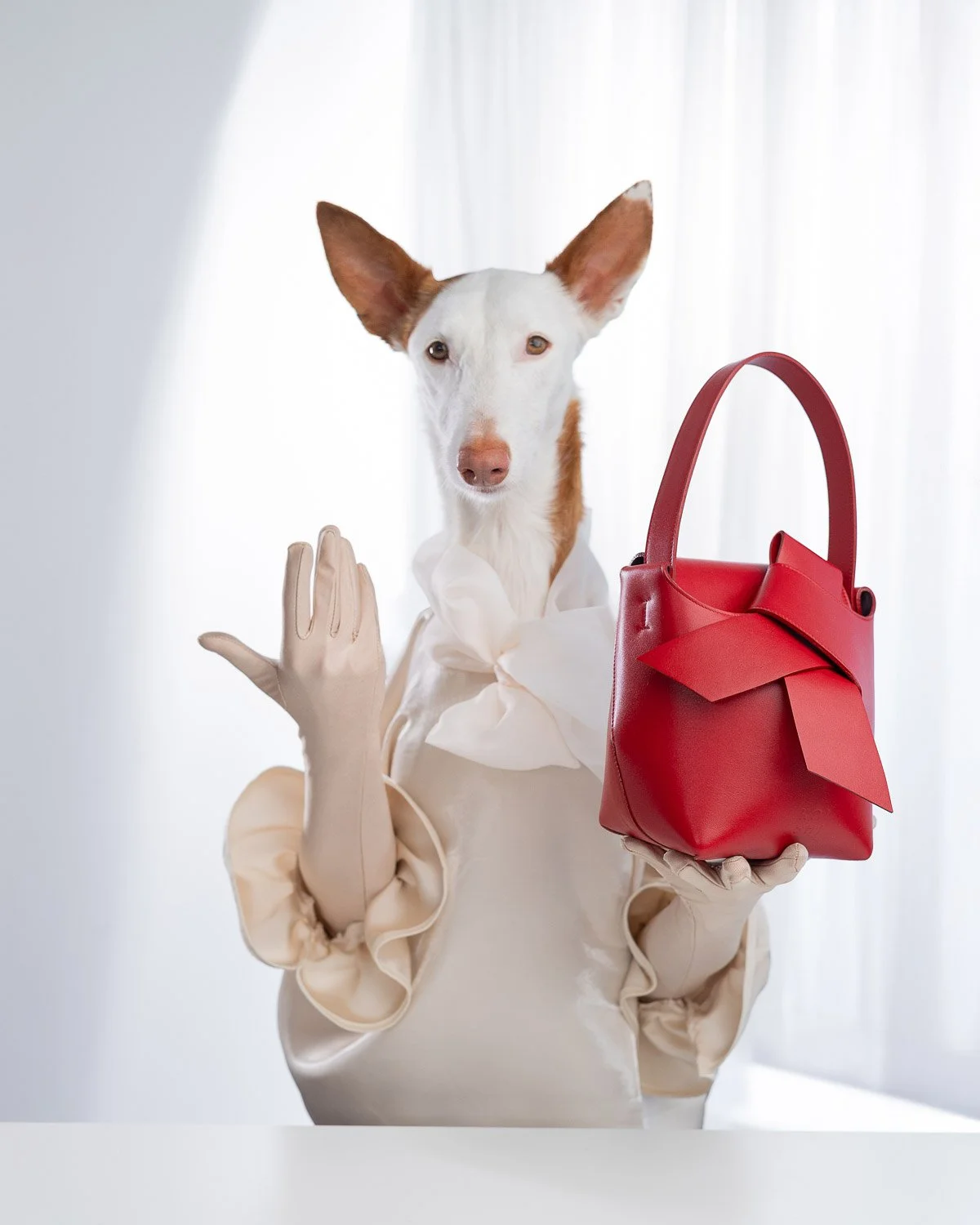 Fotografska Kampanja Koishi-9.jpg