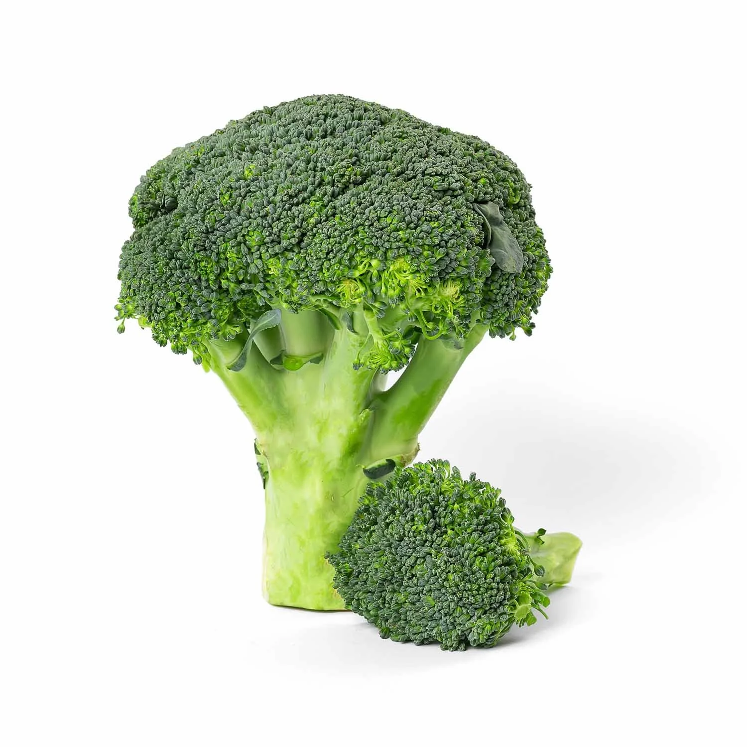 Hybrid Media Fotografisanje Proizvoda Maxi-17.jpg