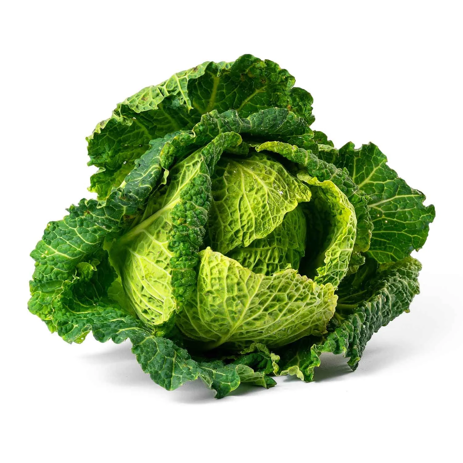 Hybrid Media Fotografisanje Proizvoda Maxi-6.jpg