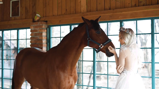 Hybrid Media Portfolio GIFNested Sequence 19.gif