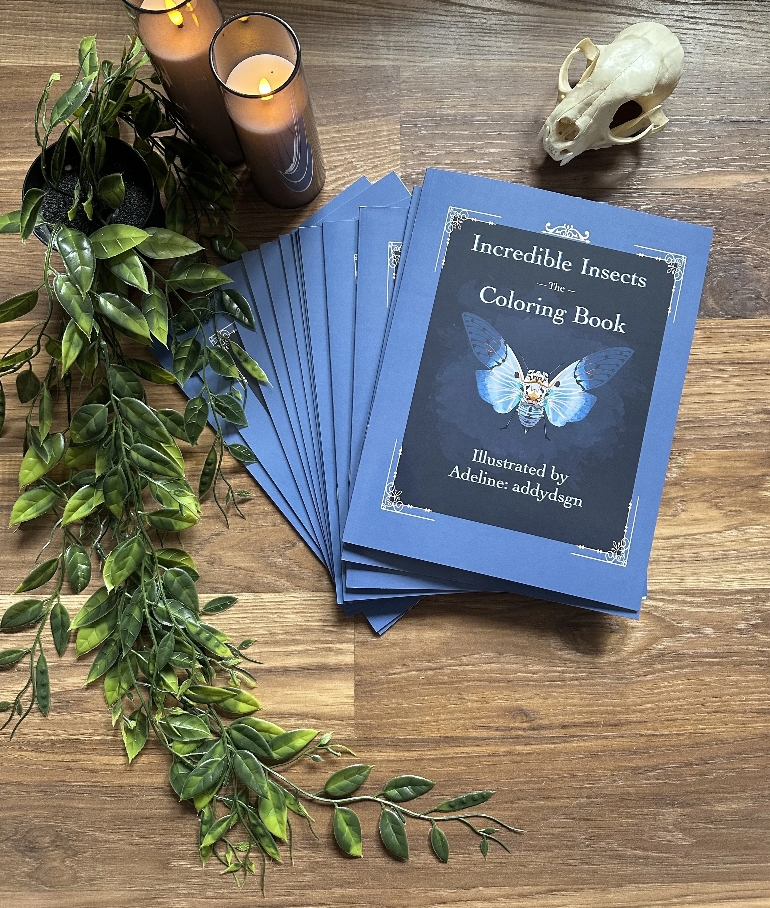 Insects Coloring Book: 20 Unique Adult Pages