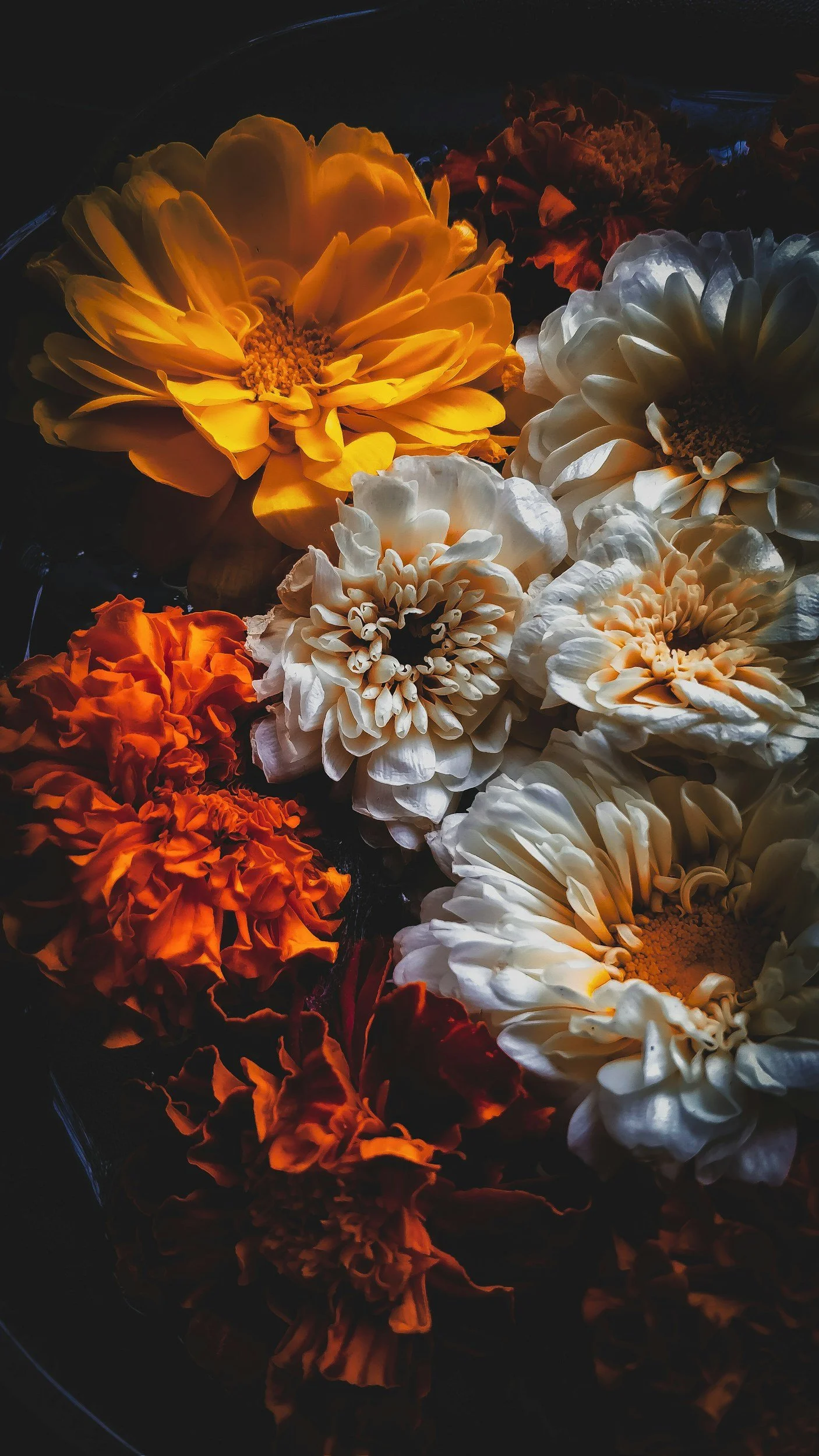 Twin Cities birth doula – grounded support for Minnesota & Western Wisconsin families. Nature-inspired birth support illustration – My Love Grows