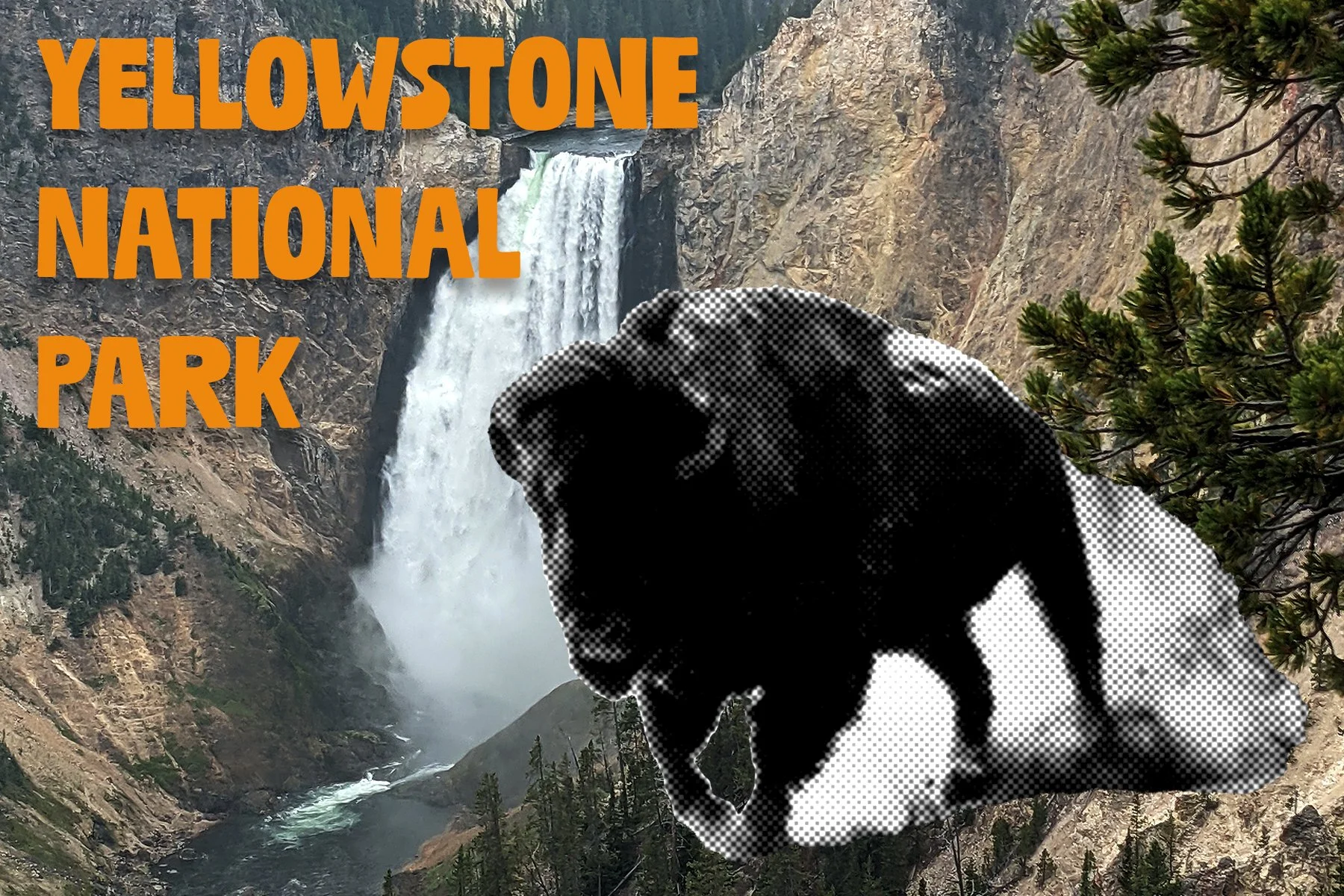 Yellowstone Postcard.jpg