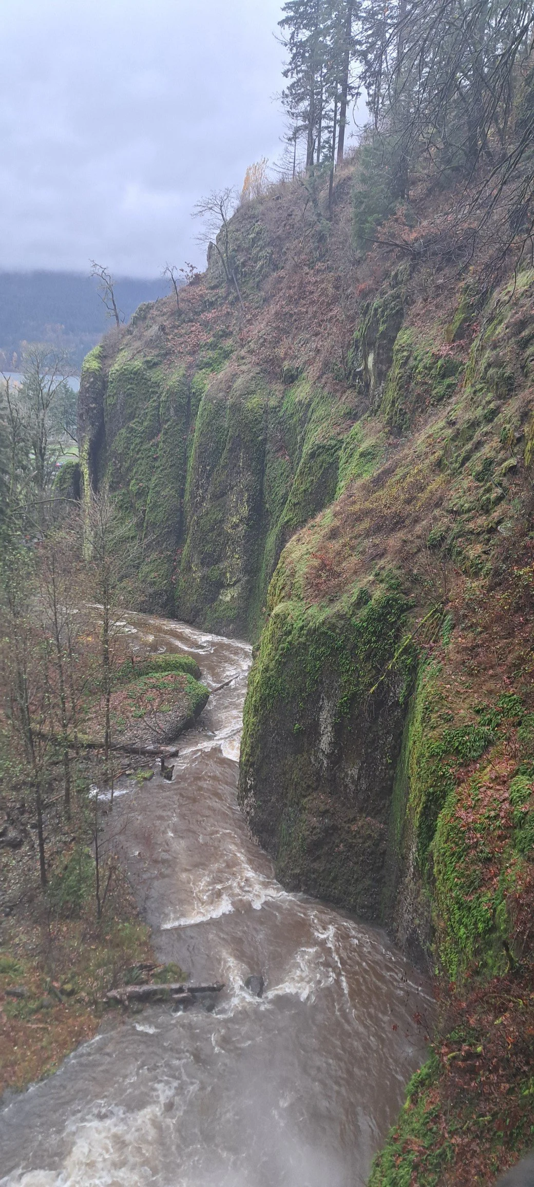 A creek flowing through a narrow valley with moss-covered cliffs and sparse trees, overcast sky in the background.