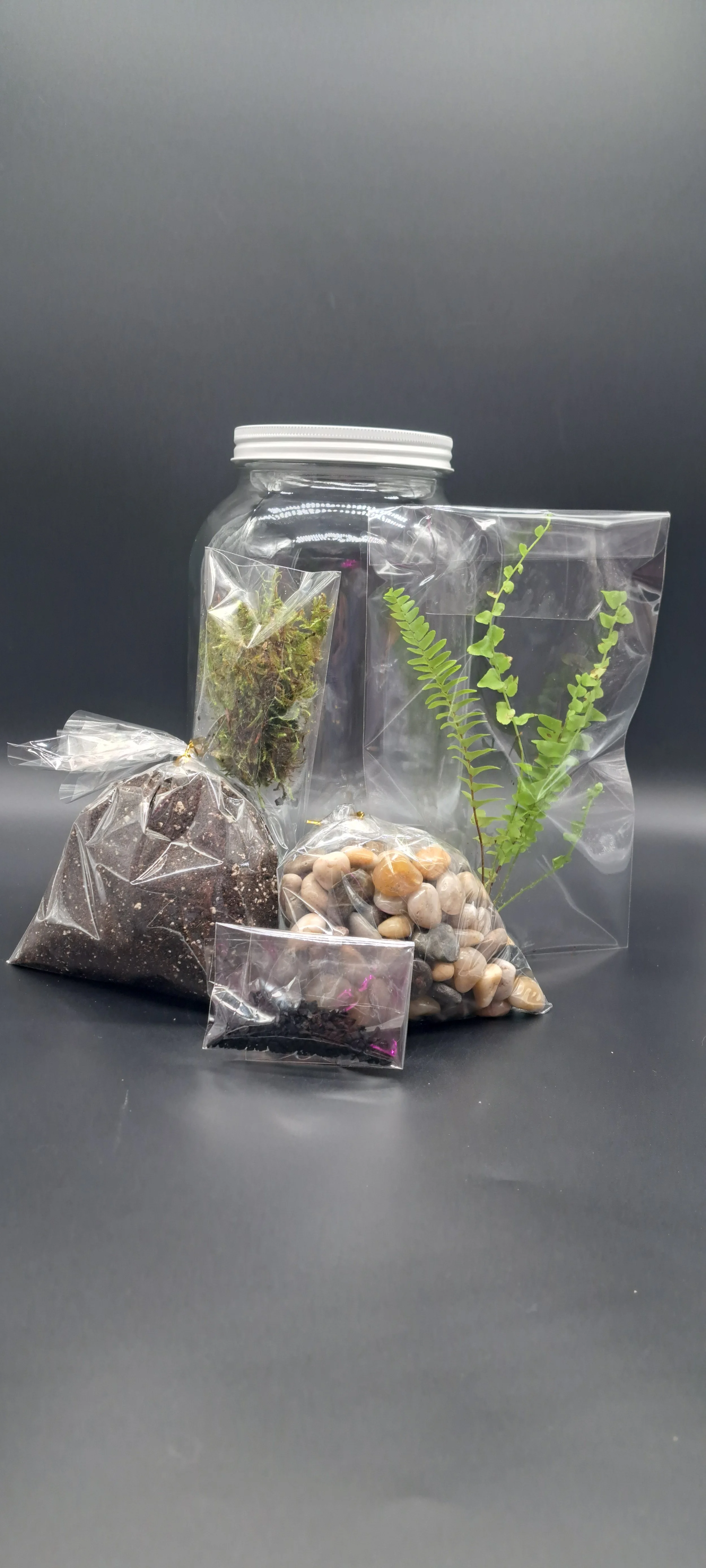 ENCLOSED TERRARIUM KIT