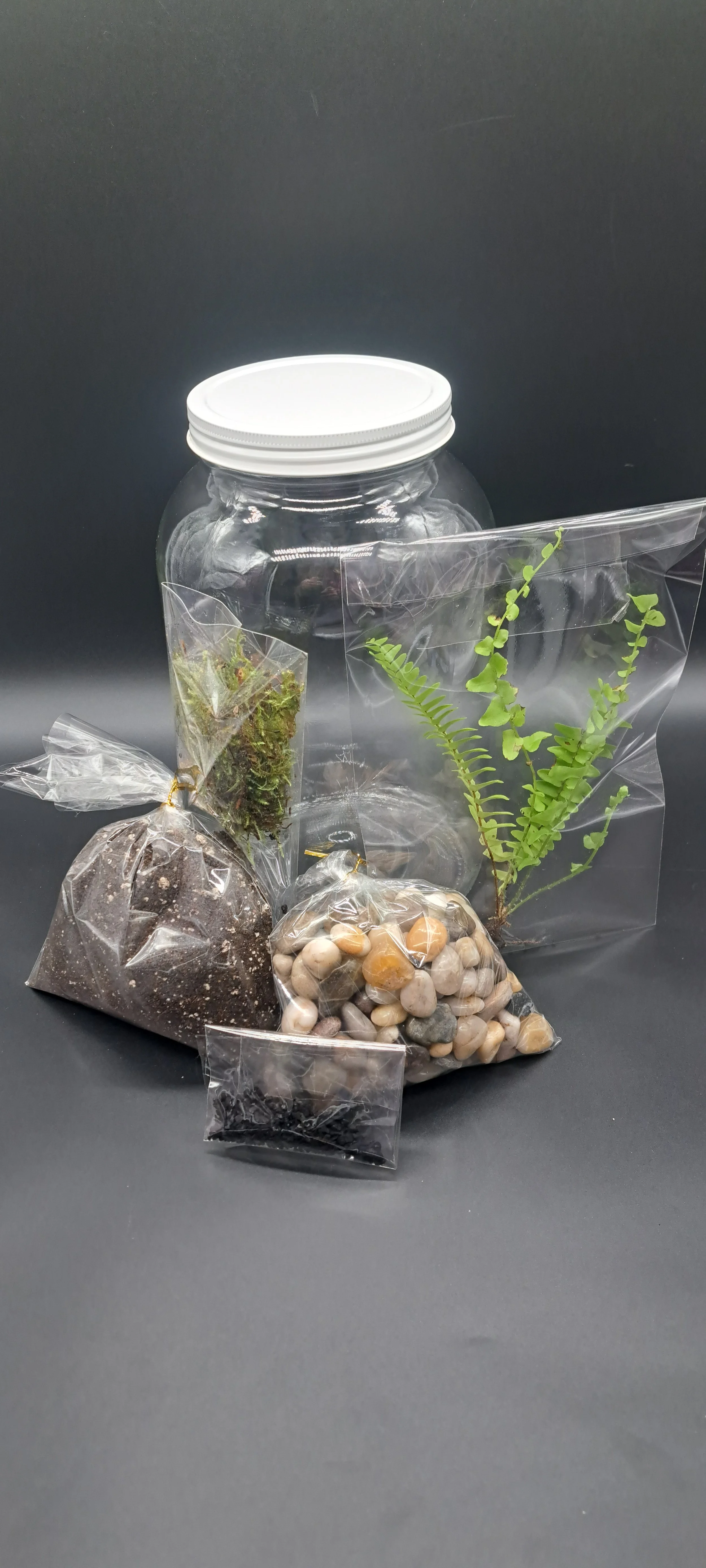 Assorted plant-growing supplies and containers, including a glass jar with a white lid, small bags of soil, gravel, and small stones, and live plants in plastic bags.