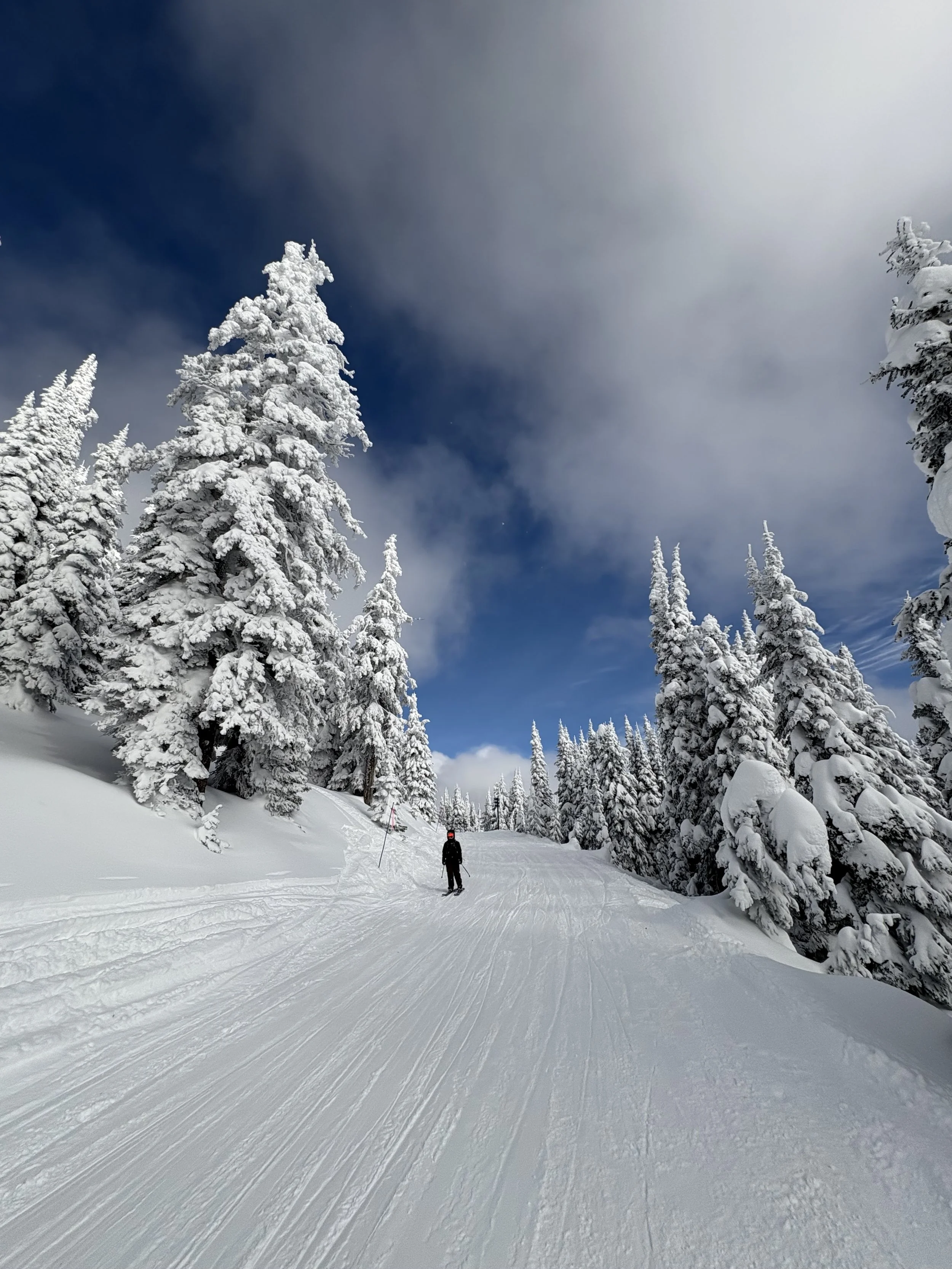 Bruyer Heights Condominiums are conveniently located near Whitefish Mountain Resort