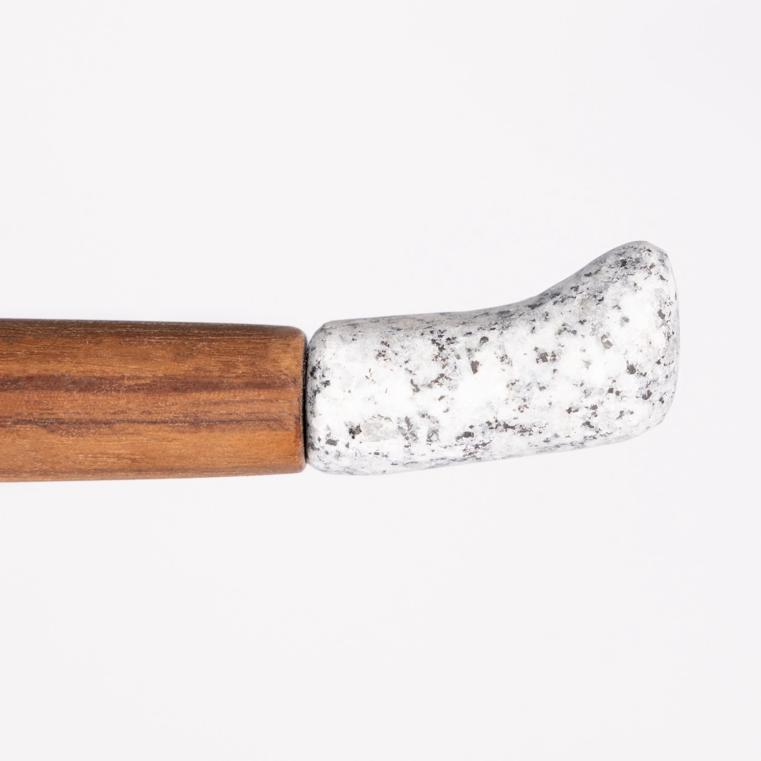 LIGNICO_Epic_Jose Lara_enero 2025_30 ene 2025-056_2.jpg