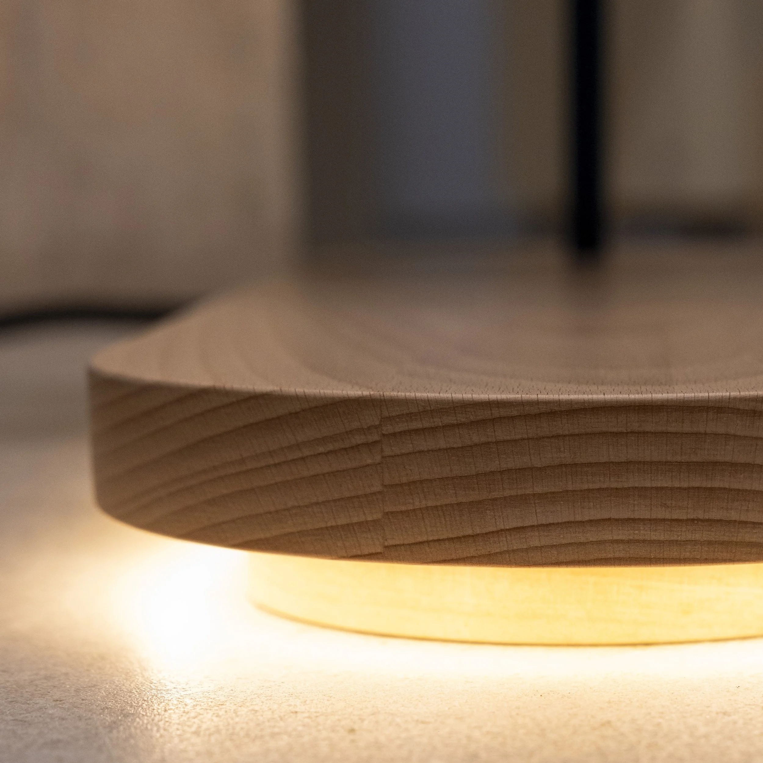 LIGNICO_Febrero_11 marzo 2025-33.jpg