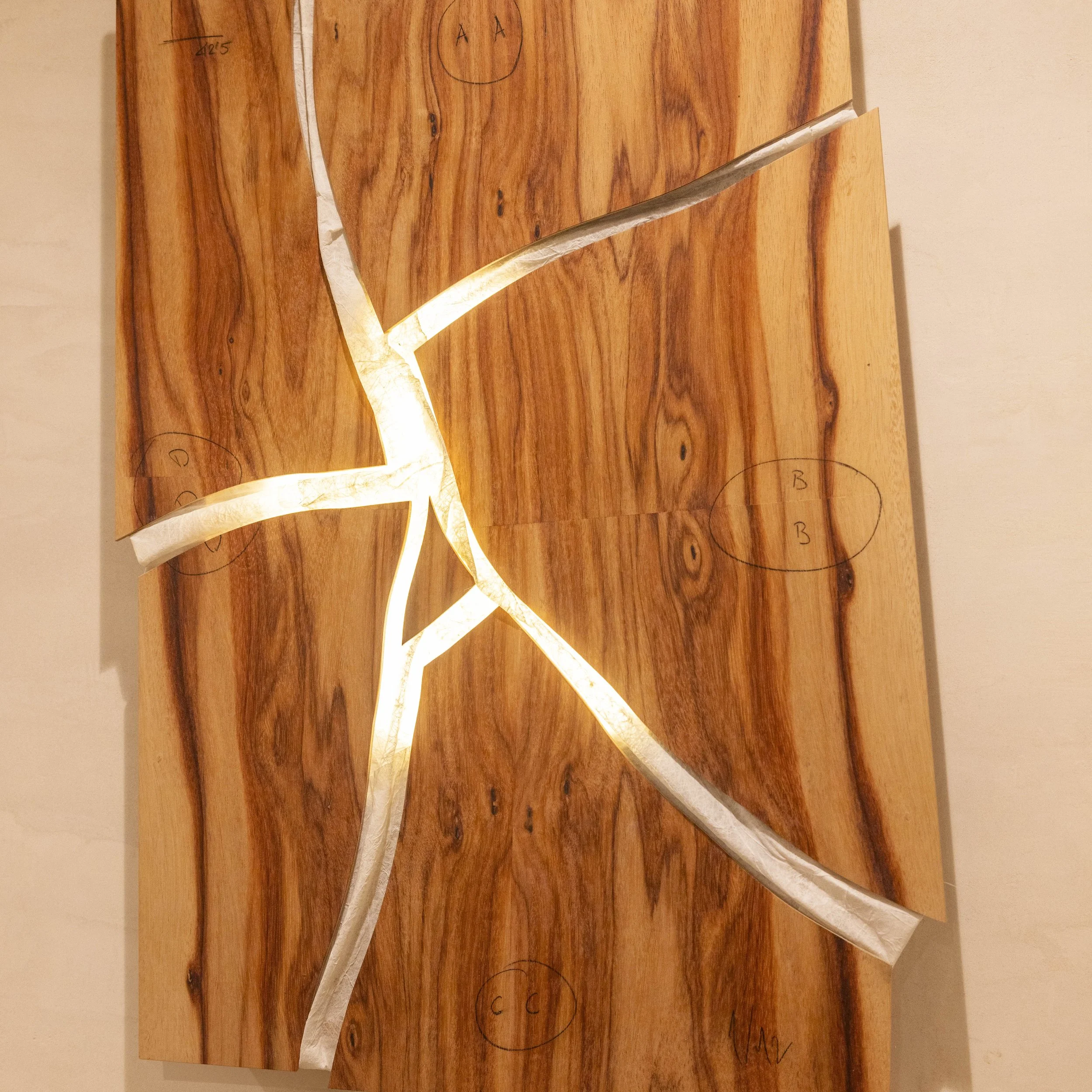 LIGNICO_Despertar_Diciembre 2024-4.jpg