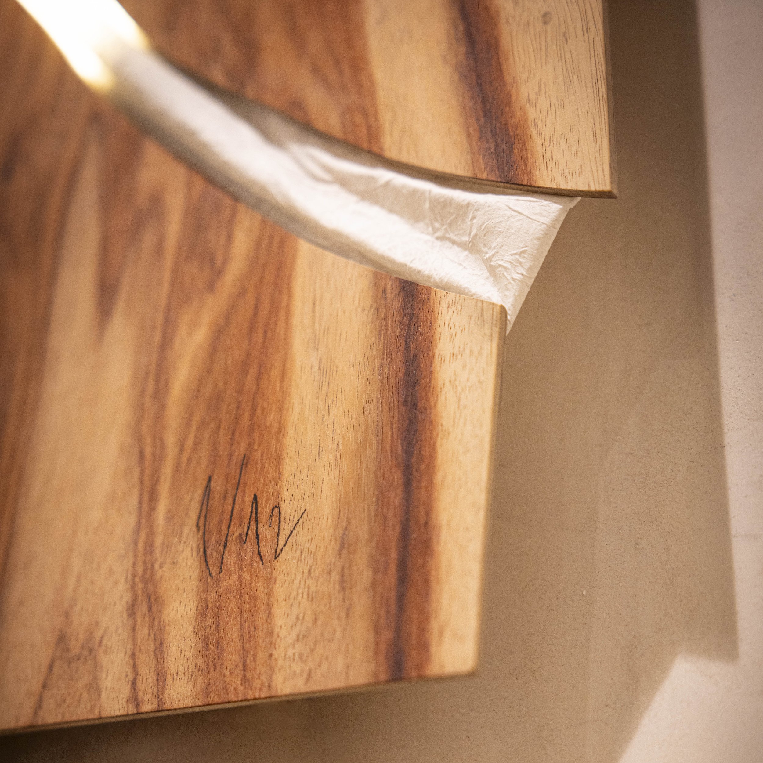 LIGNICO_Despertar_Diciembre 2024-5.jpg