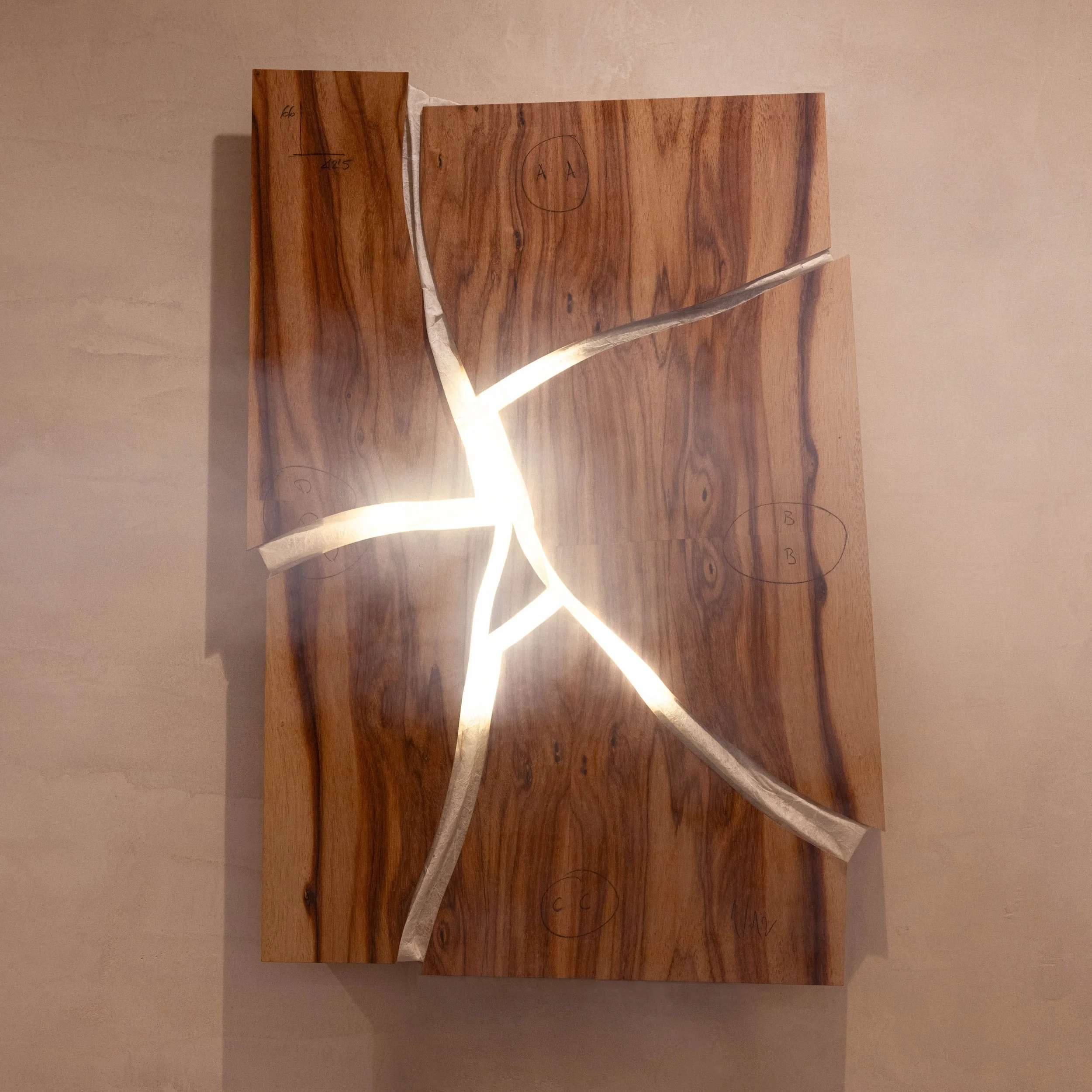 LIGNICO_Despertar_Diciembre 2024-13.jpg