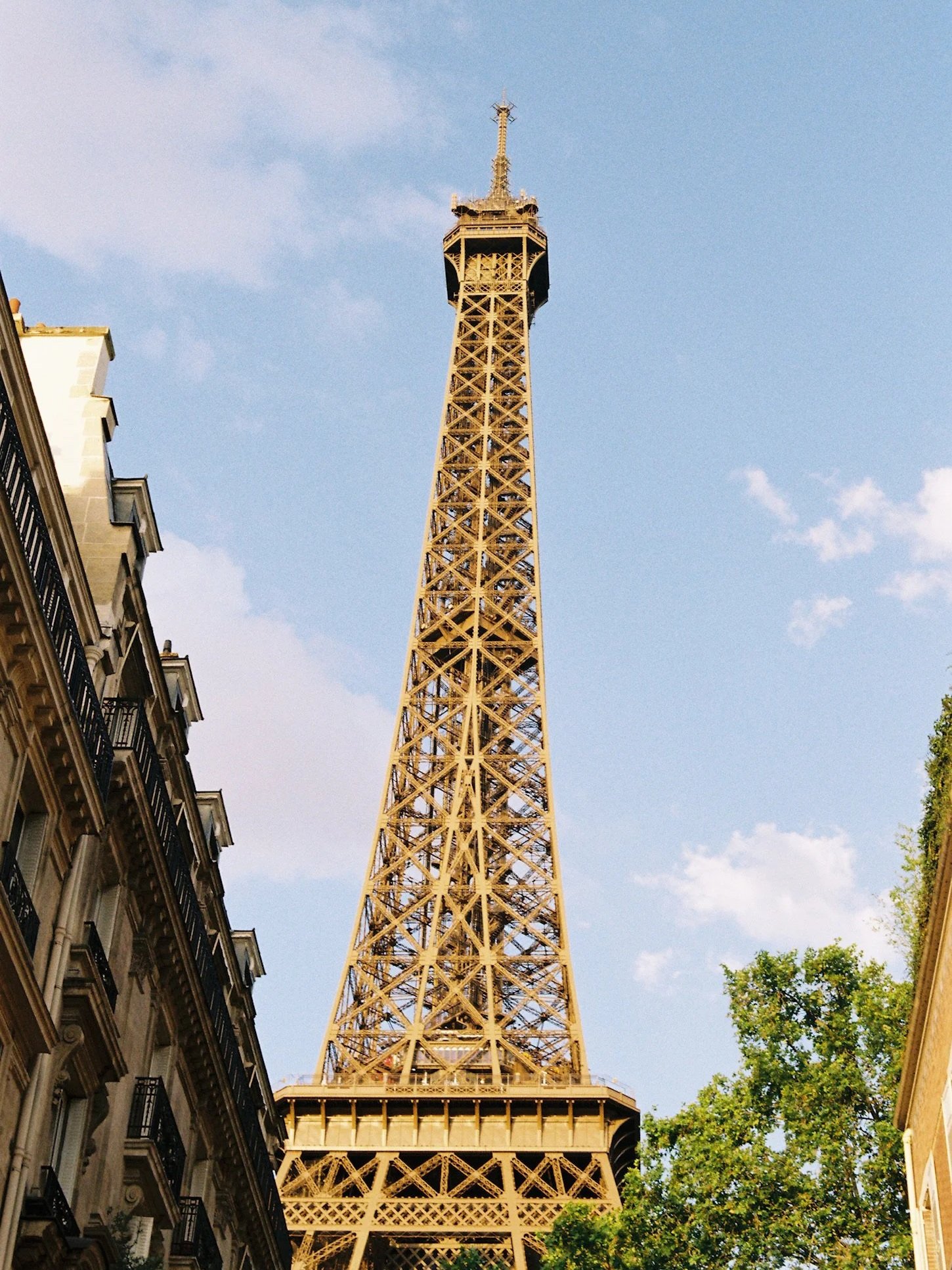 4F5D3D07-A8AE-4D74-86FA-56993187B2D1_1_102_o.jpg