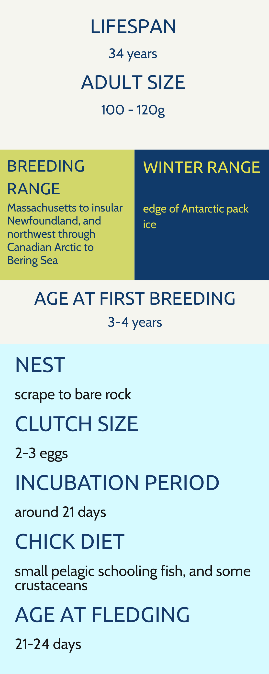 Infographic about Arctic tern lifespan, breeding range, winter range, breeding age, nest creation, clutch size, chick diet, and age at fledging.