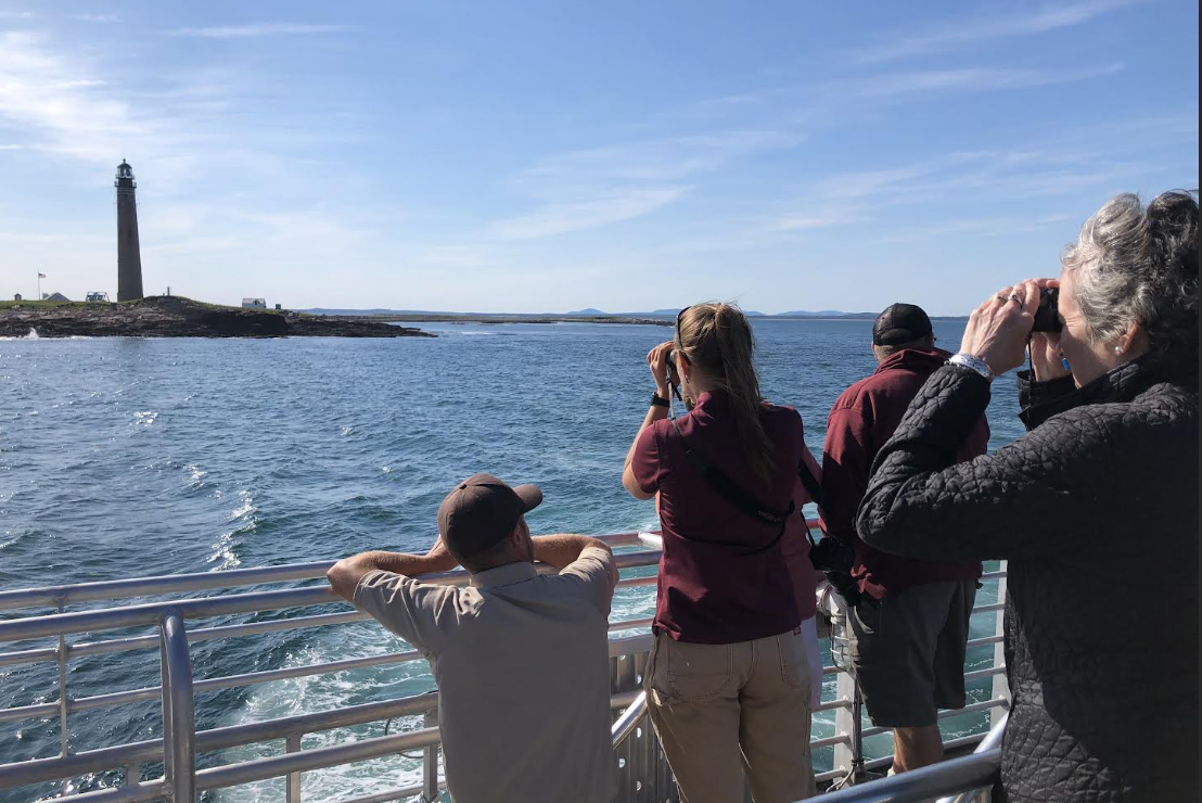Seabird Cruise to Petit Manan Island