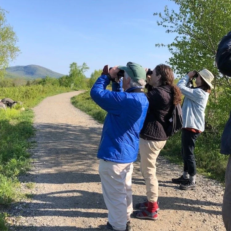 Spring bird migration has started so it's "Bird Time on the Coast"! Our bird walks are open to all bird watching abilities from beginners to advanced. Registration is required. A donation to support the Friends of Maine Coastal Islands Nati