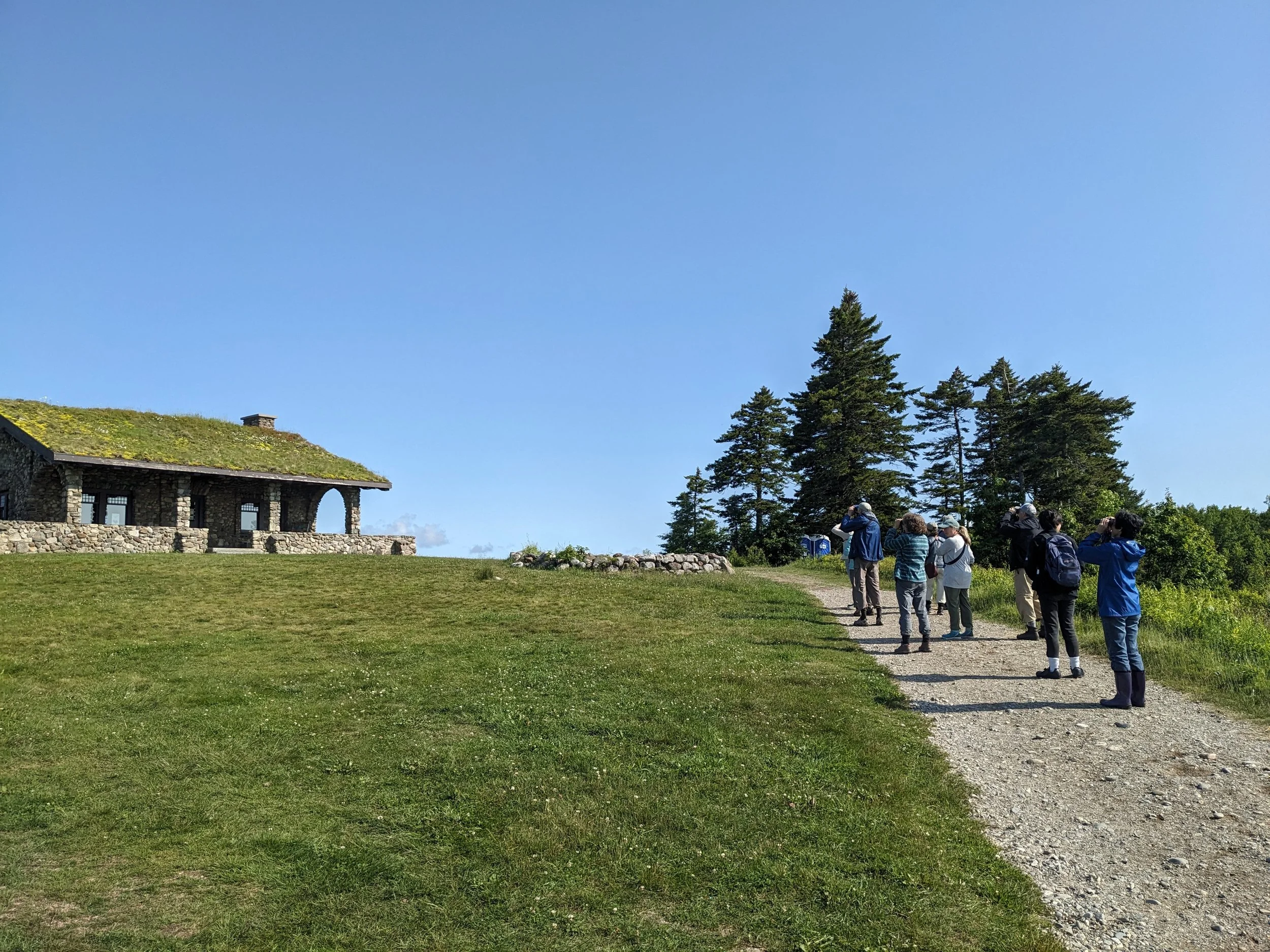Beech Hill - Bird Time on the Coast