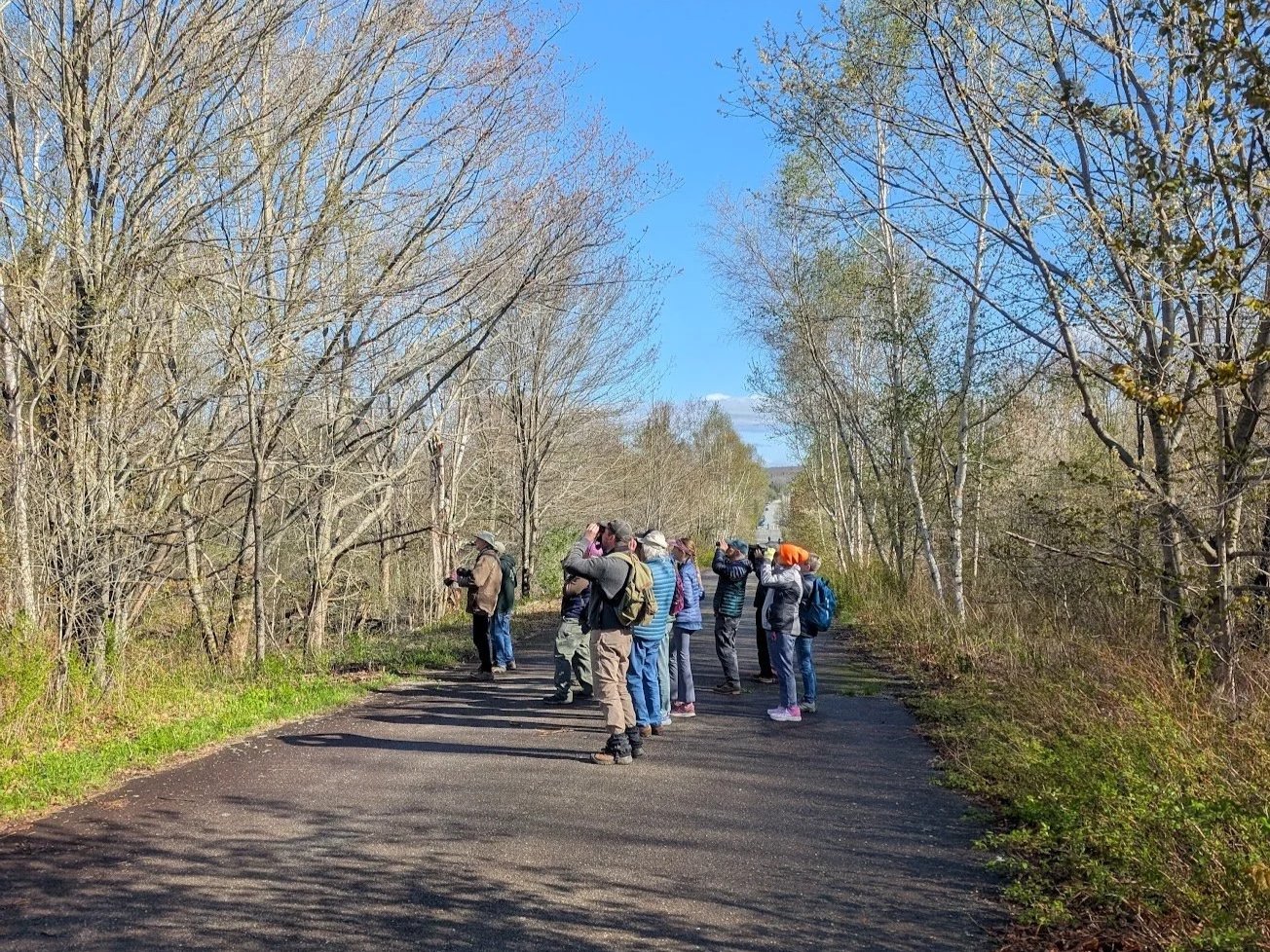 Sears Island - Bird Time on the Coast with Midcoast Audubon