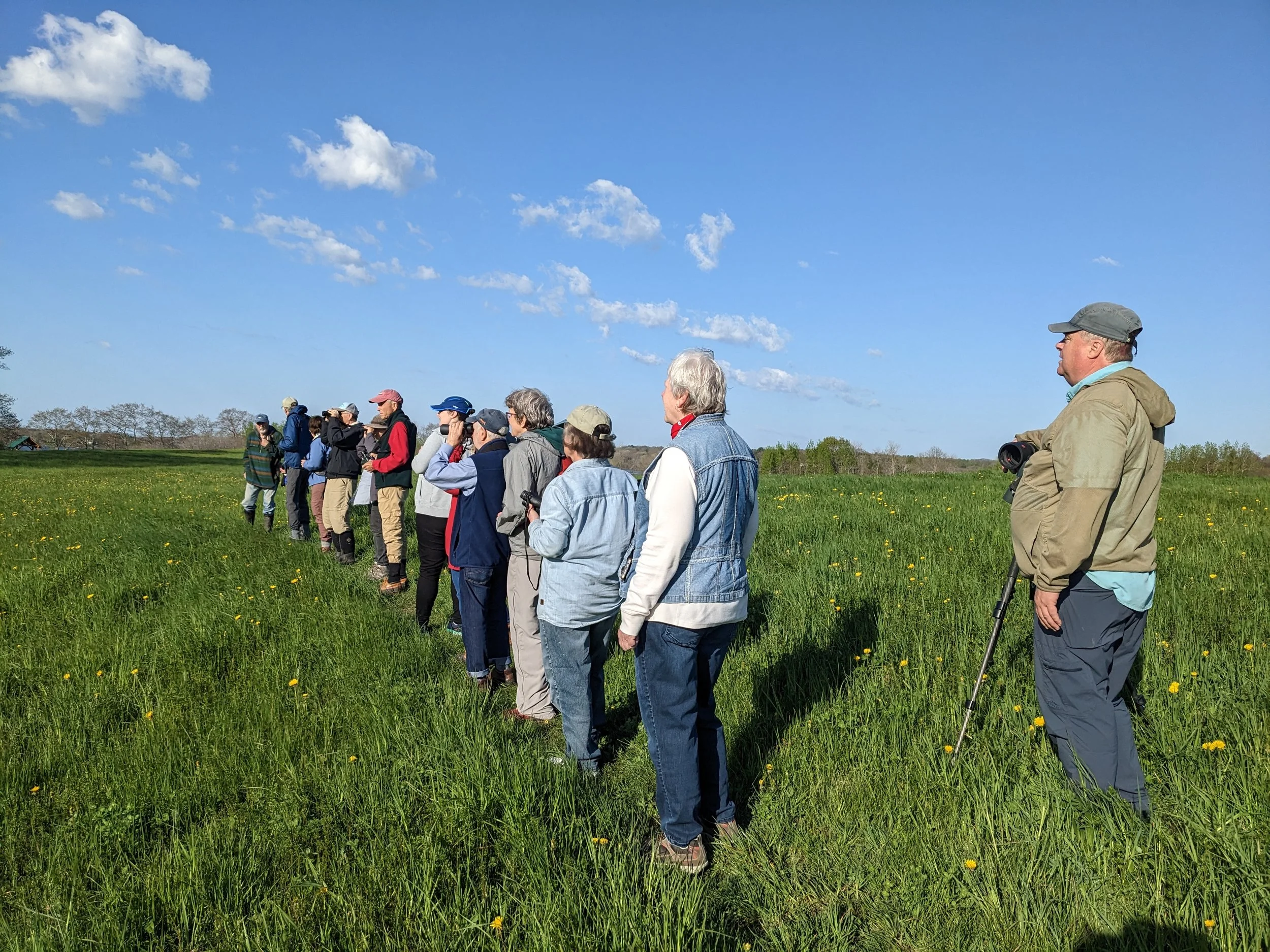 Hayfields Preserve with GRLT - Bird Time on the Coast