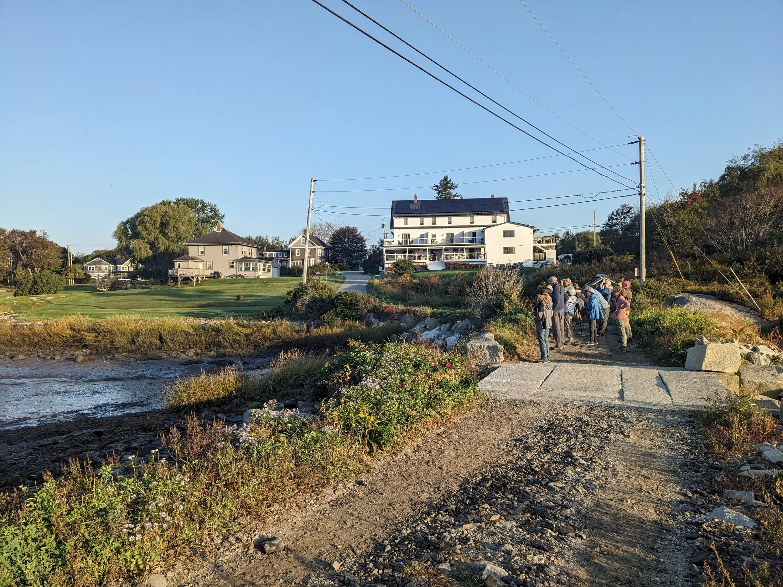 Bird Time on the Coast - Clark Island Preserve