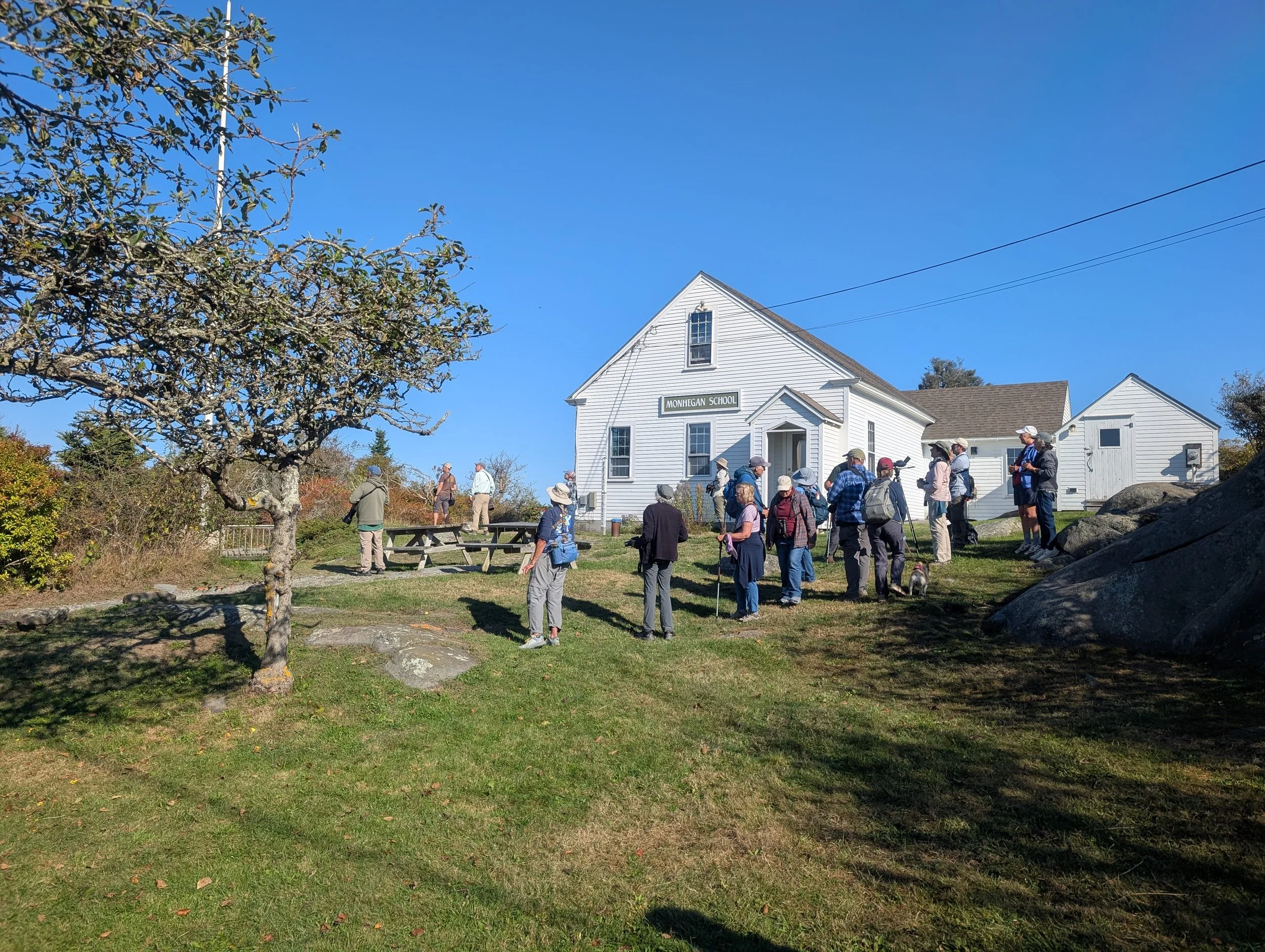 Bird Time on the Coast - Monhegan Island