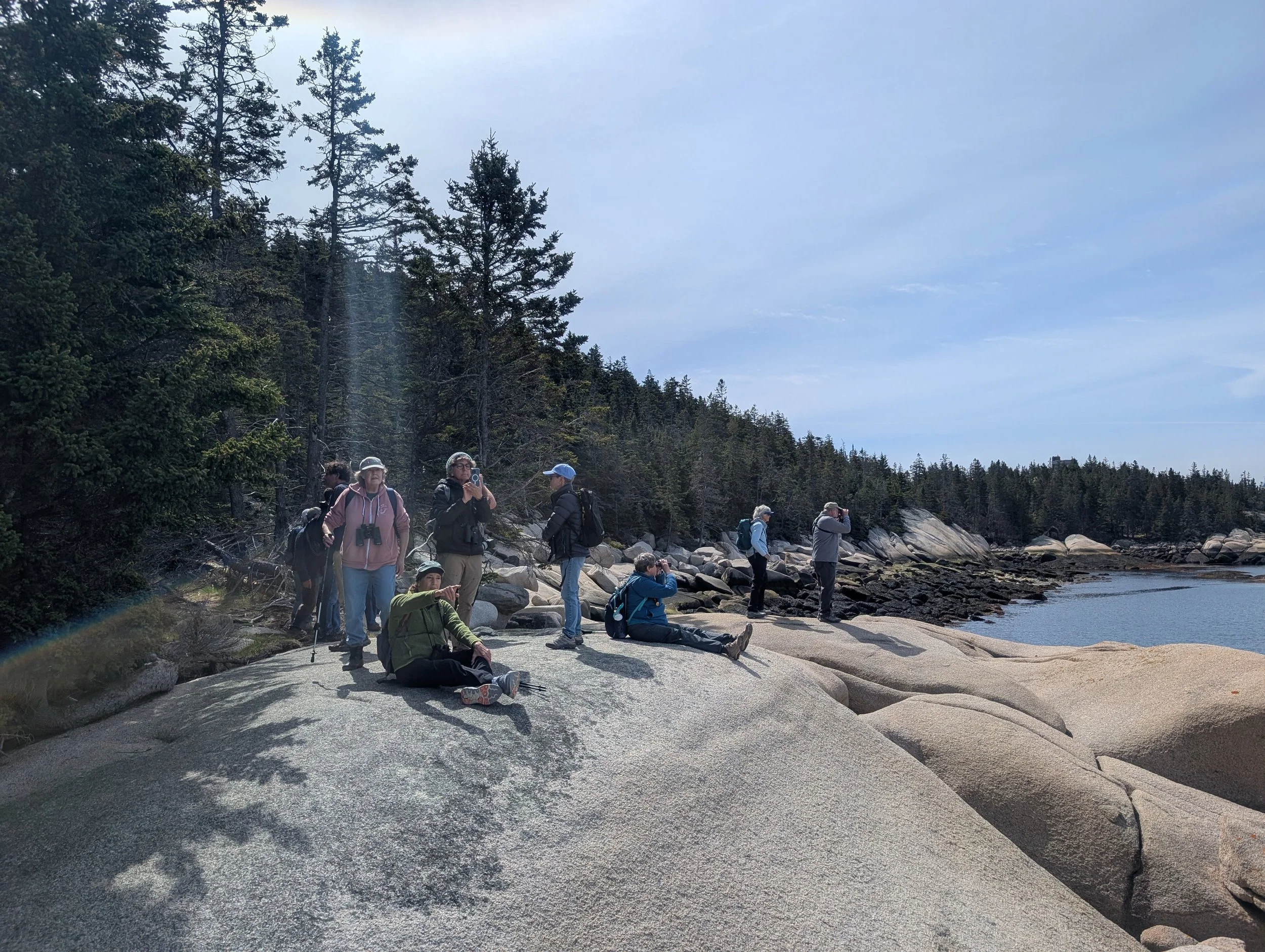 Bird Time on the Coast: Fall Hurricane Island Adventure