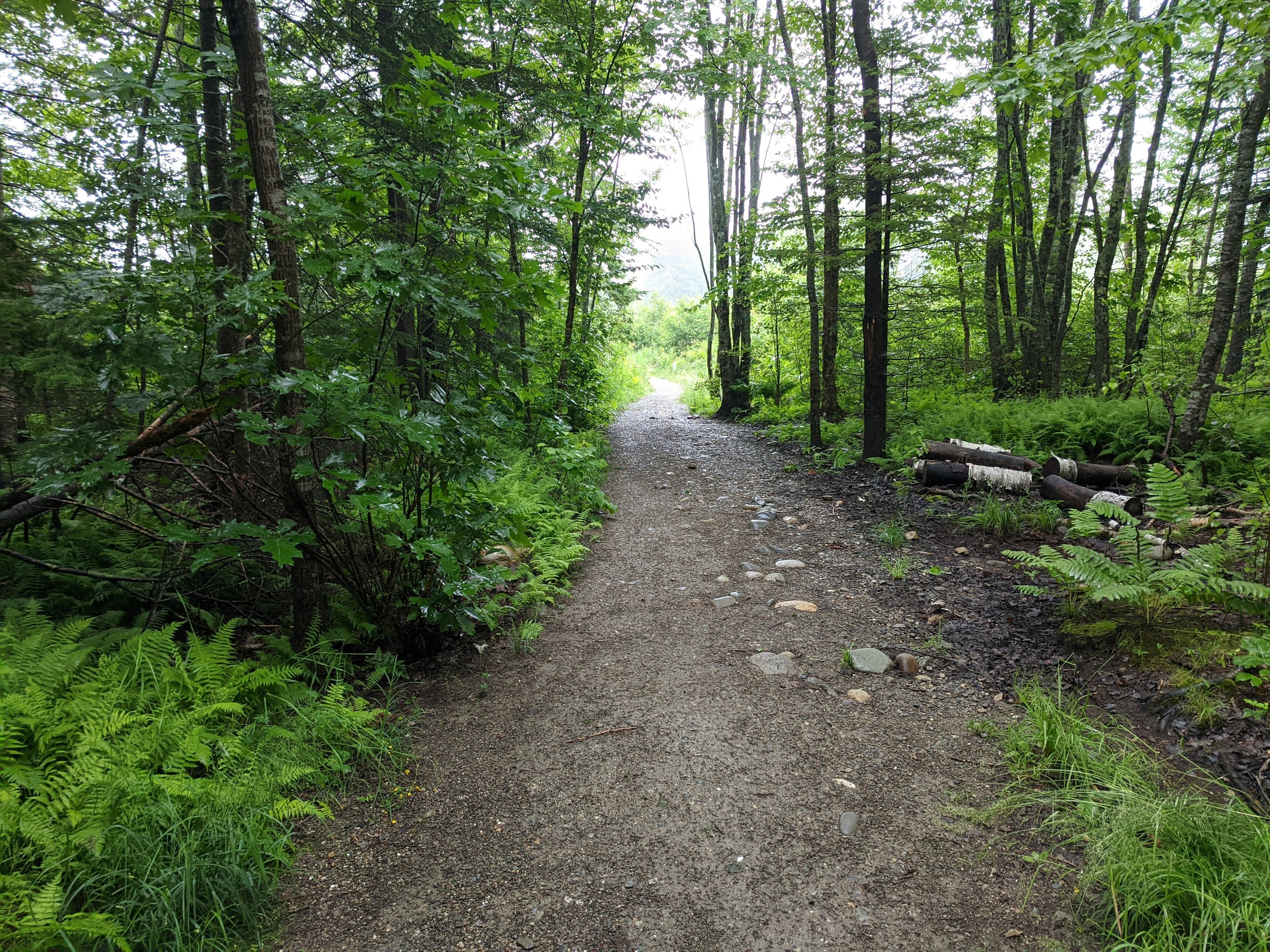 BIRD TIME ON THE COAST: ERIKSON FIELDS