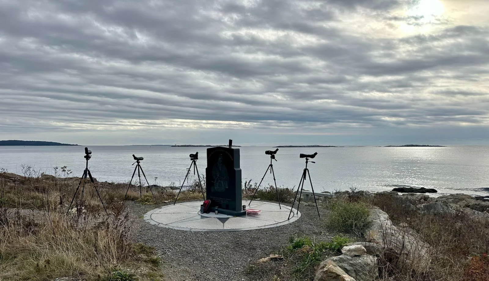 Bird Time on the Coast: Marshall Point