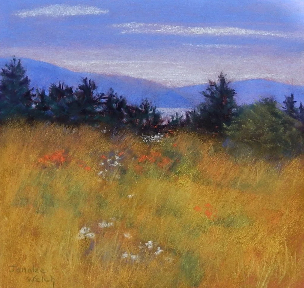 Art Opening: Janalee Welch &amp; Judy volkmann
